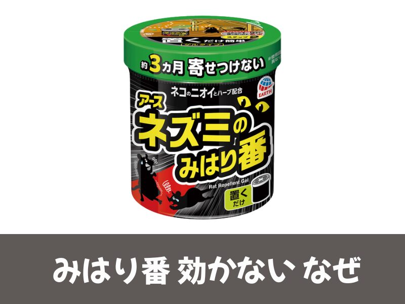 ネズミ見はり番効かない