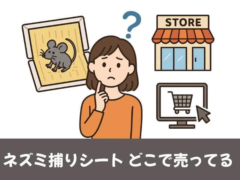 ネズミ捕りシートはどこで売ってる