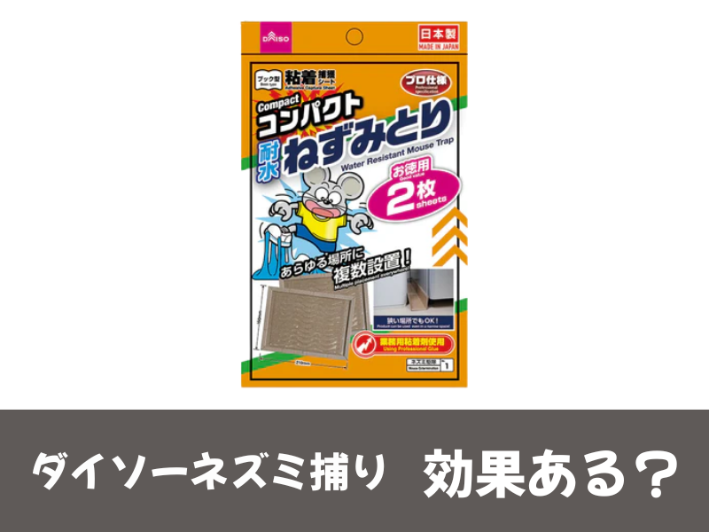 ダイソーネズミ捕りの効果ある