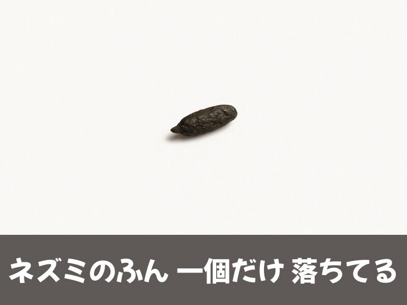 ネズミのふん一個だけ