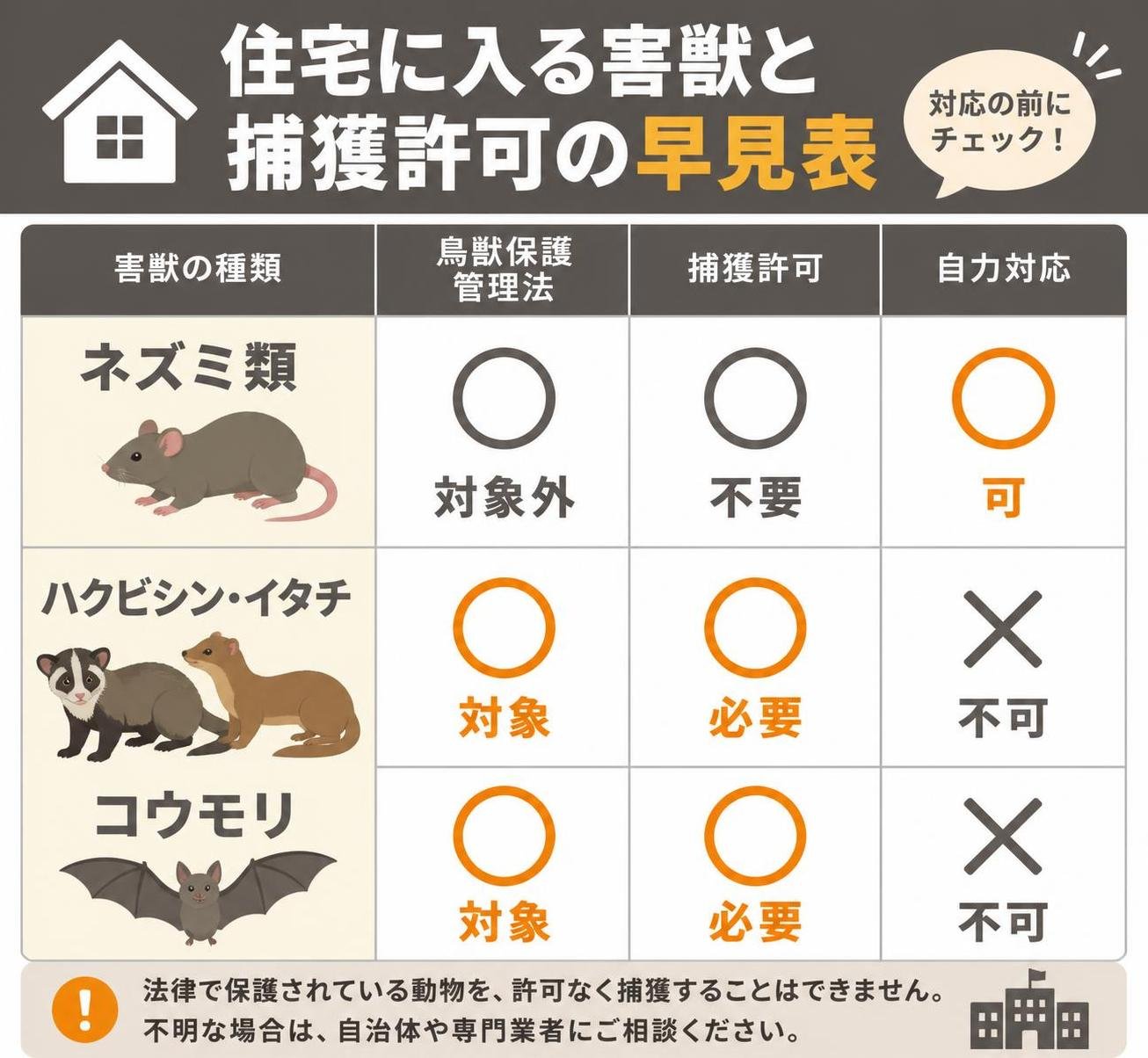 【比較表作成】住宅に入る害獣と捕獲許可の早見表。ネズミ類: 鳥獣保護管理法=対象外, 捕獲許可=不要, 自力対応=可 / ハクビシン・イタチ: 鳥獣保護管理法=対象, 捕獲許可=必要, 自力対応=不可 / コウモリ: 鳥獣保護管理法=対象, 捕獲許可=必要, 自力対応=不可