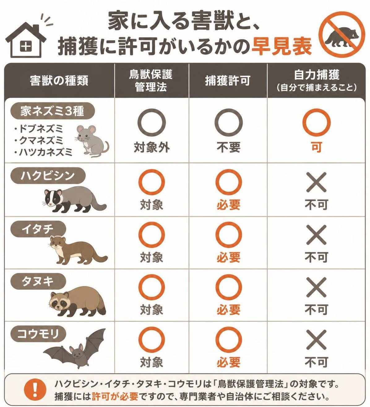 【比較表作成】家に入る害獣と、捕獲に許可がいるかの早見表。家ネズミ3種: 鳥獣保護管理法=対象外, 捕獲許可=不要, 自力捕獲=可 / ハクビシン・イタチ・タヌキ: 鳥獣保護管理法=対象, 捕獲許可=必要, 自力捕獲=不可 / コウモリ: 鳥獣保護管理法=対象, 捕獲許可=必要, 自力捕獲=不可