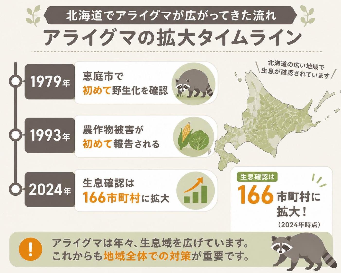 【タイムライン作成】北海道でアライグマが広がってきた流れ。1979年:恵庭市で初めて野生化を確認 / 1993年:農作物被害が初めて報告される / 2024年:生息確認は166市町村に拡大