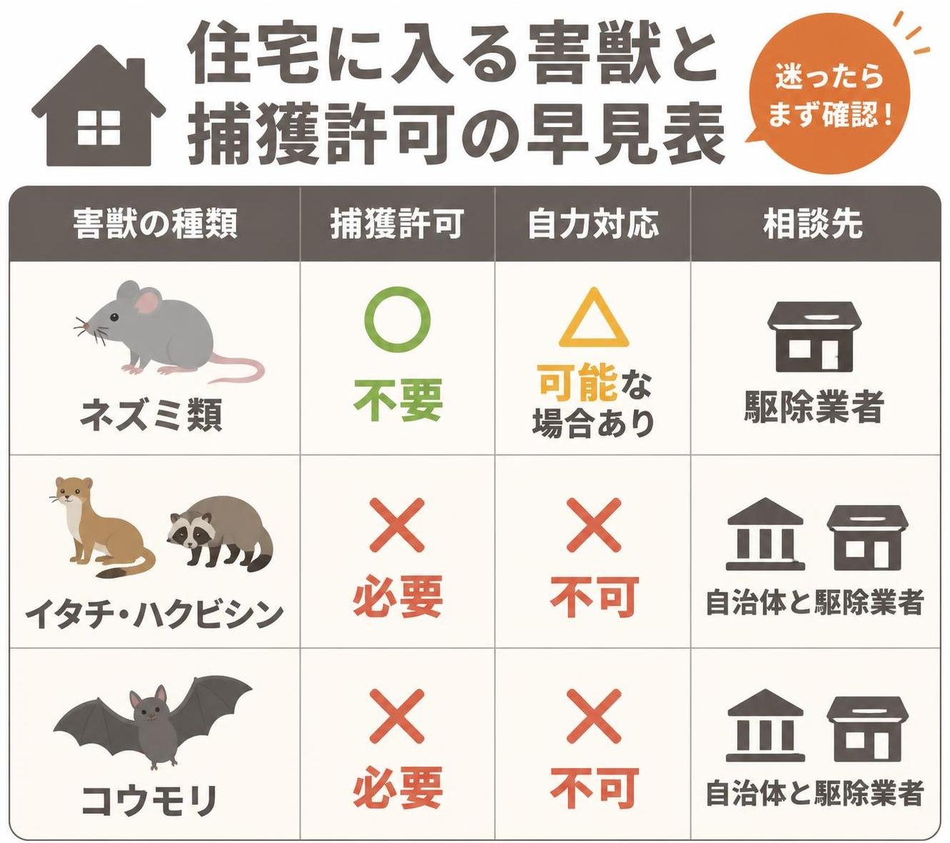 【比較表作成】住宅に入る害獣と捕獲許可の早見表。ネズミ類: 捕獲許可=不要, 自力対応=可能な場合あり, 相談先=駆除業者 / イタチ・ハクビシン: 捕獲許可=必要, 自力対応=不可, 相談先=自治体と駆除業者 / コウモリ: 捕獲許可=必要, 自力対応=不可, 相談先=自治体と駆除業者