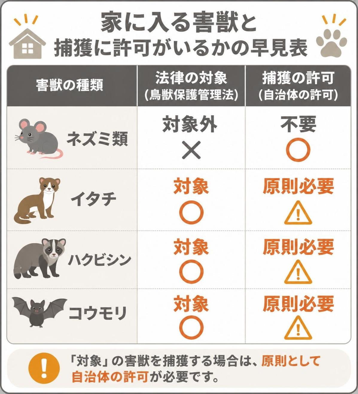 【比較表作成】家に入る害獣と捕獲に許可がいるかの早見表。ネズミ類: 法律の対象=対象外, 捕獲の許可=不要 / イタチ: 法律の対象=対象, 捕獲の許可=原則必要 / ハクビシン: 法律の対象=対象, 捕獲の許可=原則必要 / コウモリ: 法律の対象=対象, 捕獲の許可=原則必要