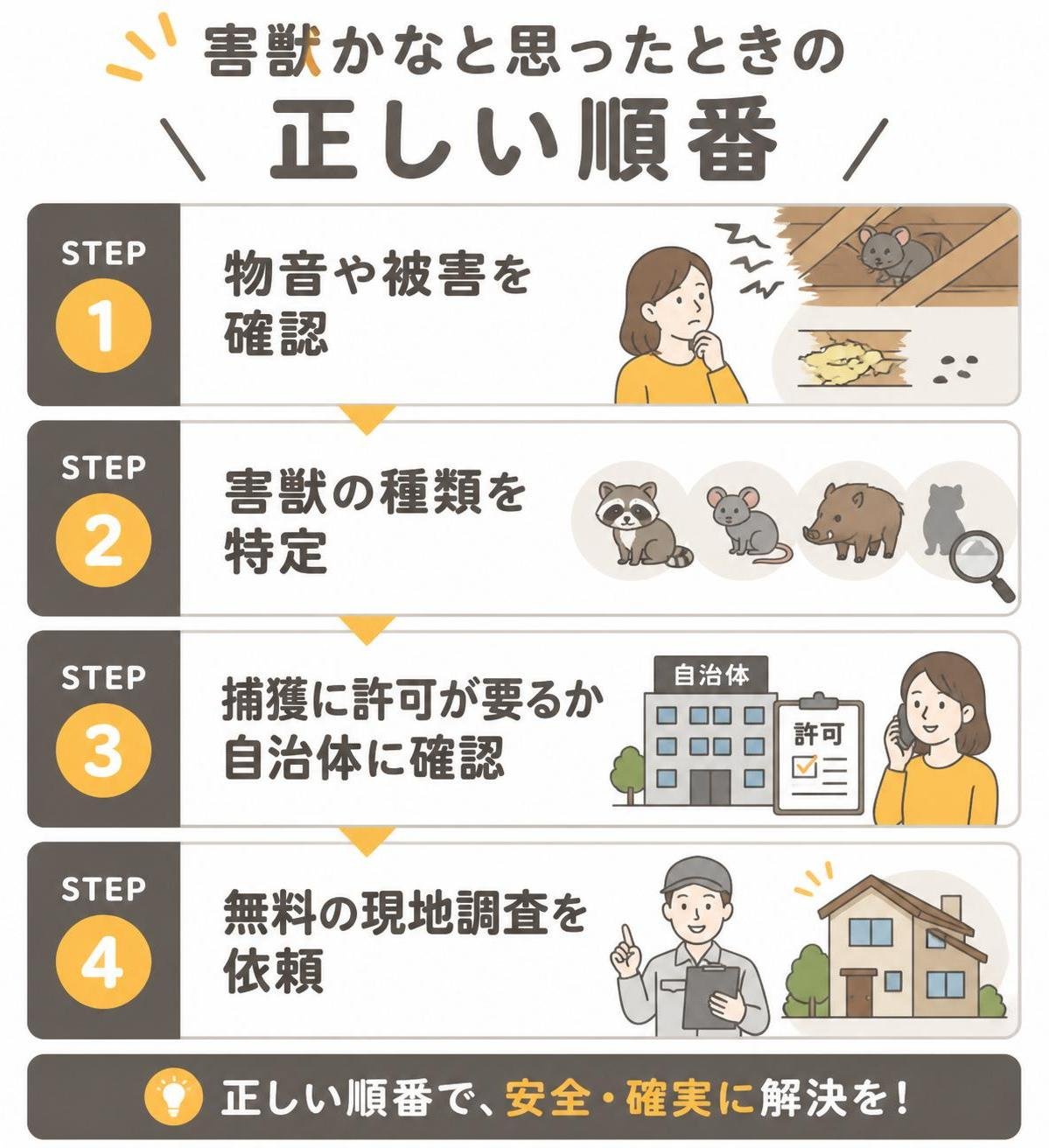 【ステップ作成】害獣かなと思ったときの正しい順番:物音や被害を確認→害獣の種類を特定→捕獲に許可が要るか自治体に確認→無料の現地調査を依頼