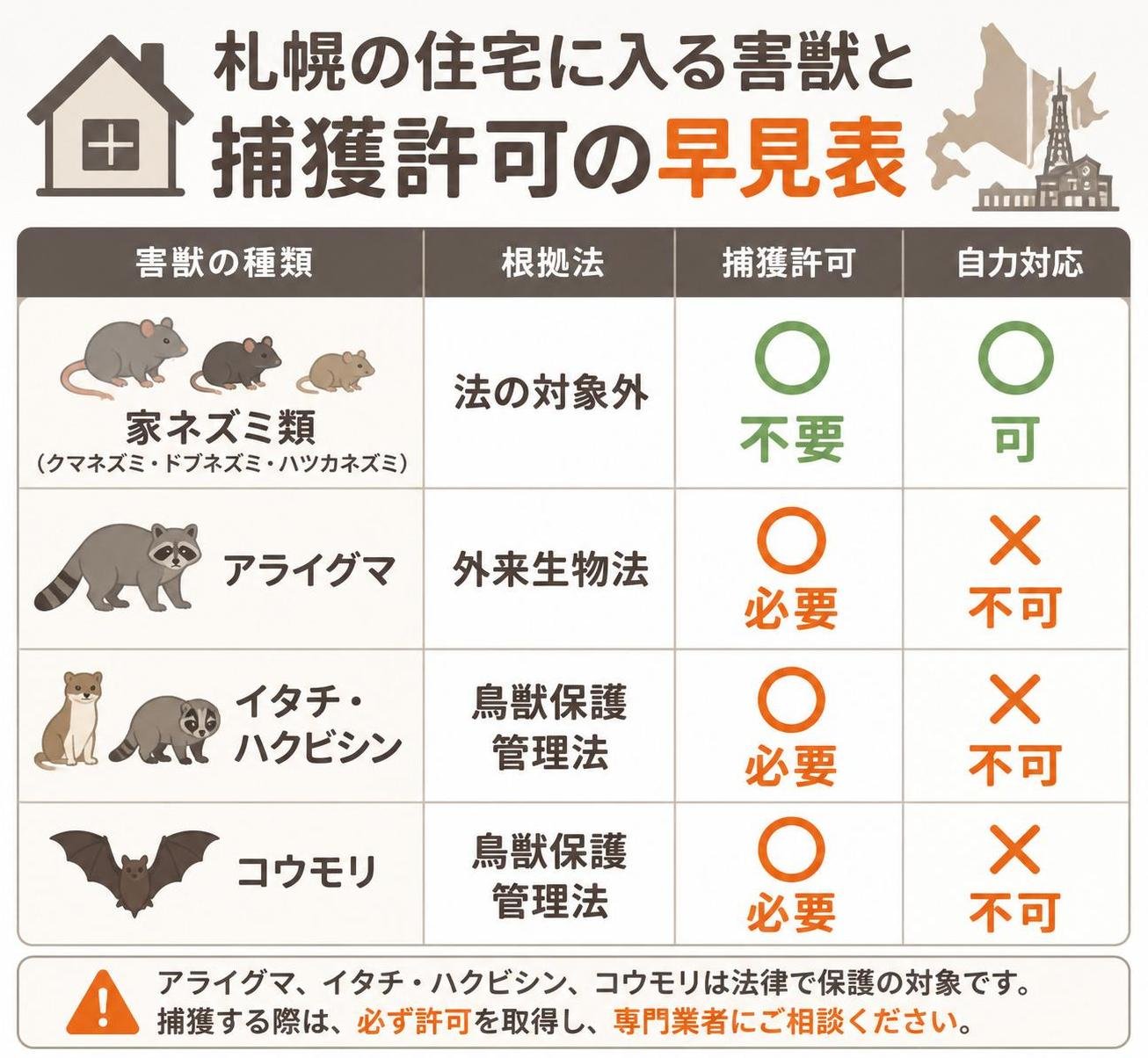【比較表作成】札幌の住宅に入る害獣と捕獲許可の早見表。家ネズミ類3種: 根拠法=法の対象外, 捕獲許可=不要, 自力対応=可 / アライグマ: 根拠法=外来生物法, 捕獲許可=必要, 自力対応=不可 / イタチ・ハクビシン: 根拠法=鳥獣保護管理法, 捕獲許可=必要, 自力対応=不可 / コウモリ: 根拠法=鳥獣保護管理法, 捕獲許可=必要, 自力対応=不可