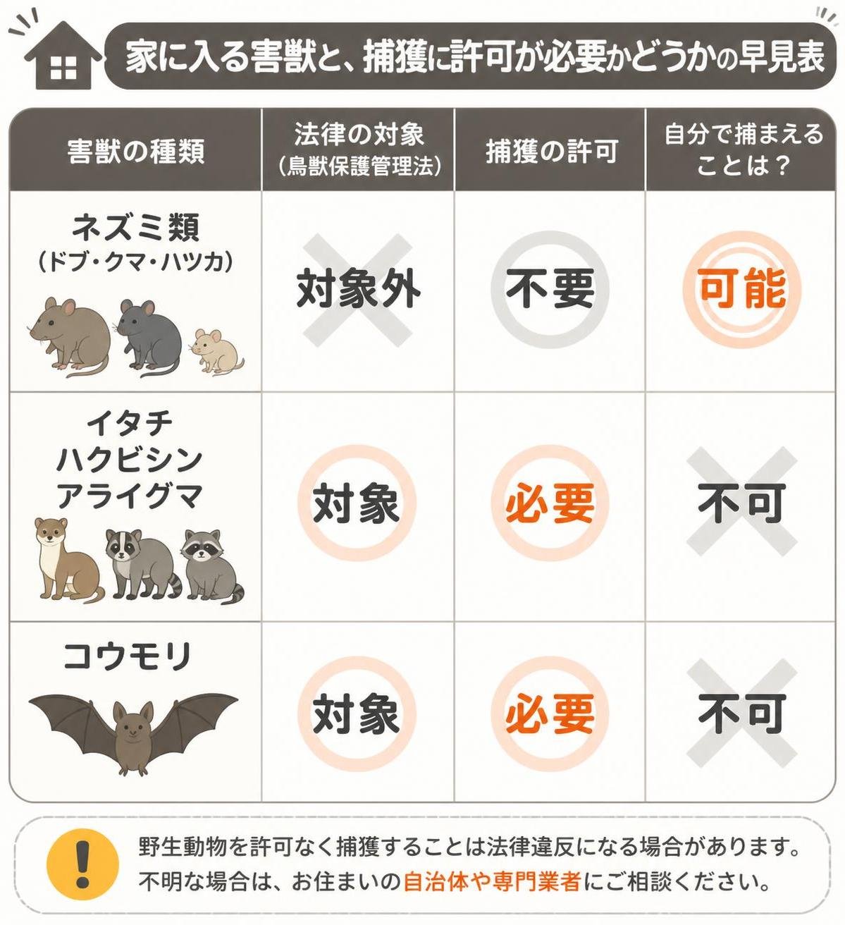 【比較表作成】家に入る害獣と、捕獲に許可が必要かどうかの早見表。ネズミ類(ドブ・クマ・ハツカ): 法律の対象=対象外, 捕獲の許可=不要, 自分で捕まえる=可能 / イタチ・ハクビシン・アライグマ: 法律の対象=対象, 捕獲の許可=必要, 自分で捕まえる=不可 / コウモリ: 法律の対象=対象, 捕獲の許可=必要, 自分で捕まえる=不可