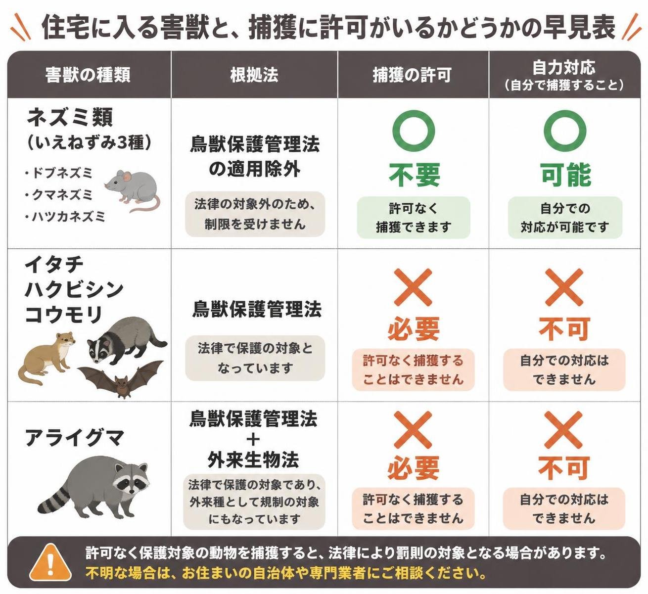【比較表作成】住宅に入る害獣と、捕獲に許可がいるかどうかの早見表。ネズミ類(いえねずみ3種): 根拠法=鳥獣保護管理法の適用除外, 捕獲の許可=不要, 自力対応=可能 / イタチ・ハクビシン・コウモリ: 根拠法=鳥獣保護管理法, 捕獲の許可=必要, 自力対応=不可 / アライグマ: 根拠法=鳥獣保護管理法・外来生物法, 捕獲の許可=必要, 自力対応=不可