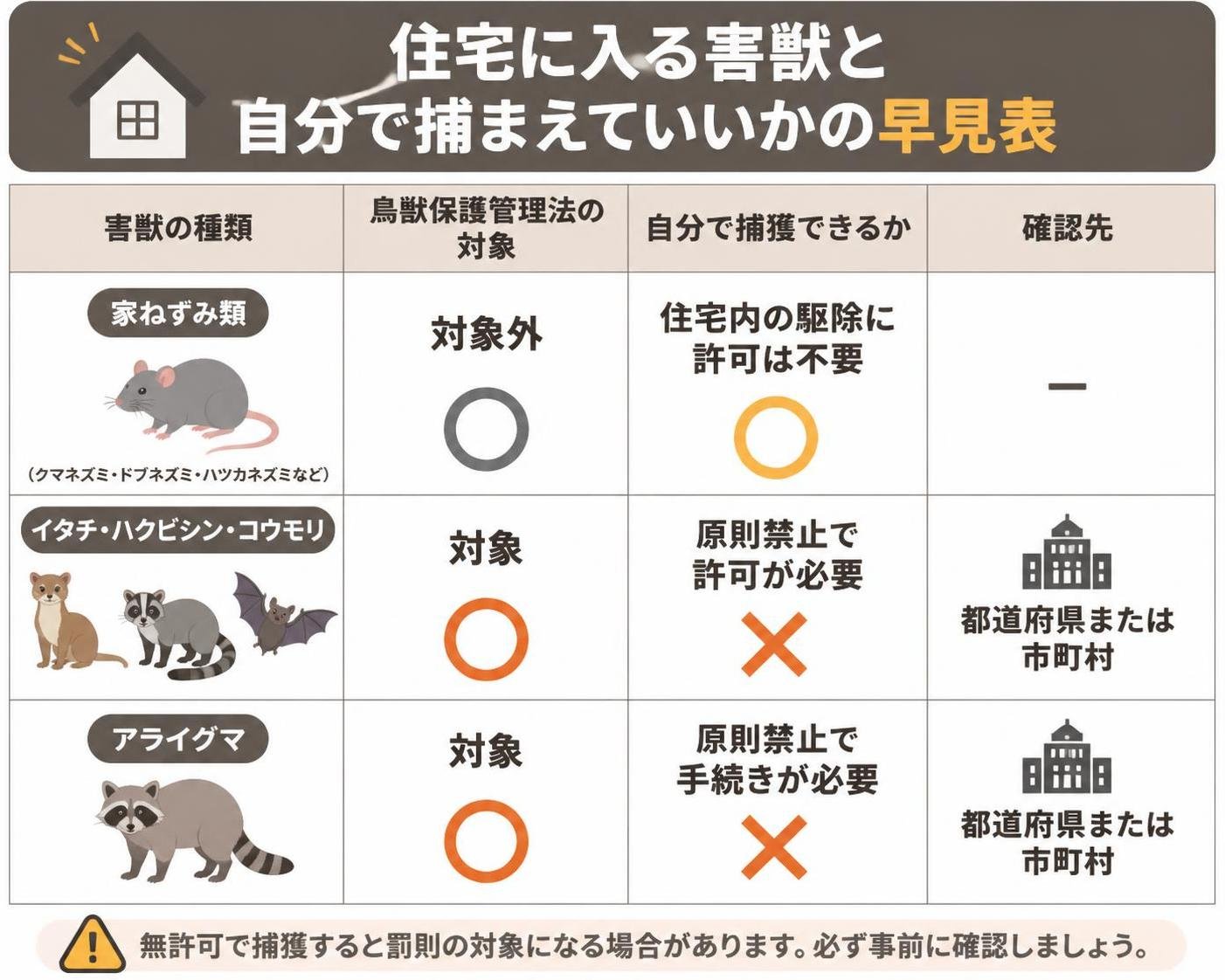 【比較表作成】住宅に入る害獣と自分で捕まえていいかの早見表。家ねずみ類: 鳥獣保護管理法の対象=対象外, 自分で捕獲できるか=住宅内の駆除に許可は不要, 確認先=- / イタチ・ハクビシン・コウモリ: 鳥獣保護管理法の対象=対象, 自分で捕獲できるか=原則禁止で許可が必要, 確認先=都道府県または市町村 / アライグマ: 鳥獣保護管理法の対象=対象, 自分で捕獲できるか=原則禁止で手続きが必要, 確認先=都道府県または市町村