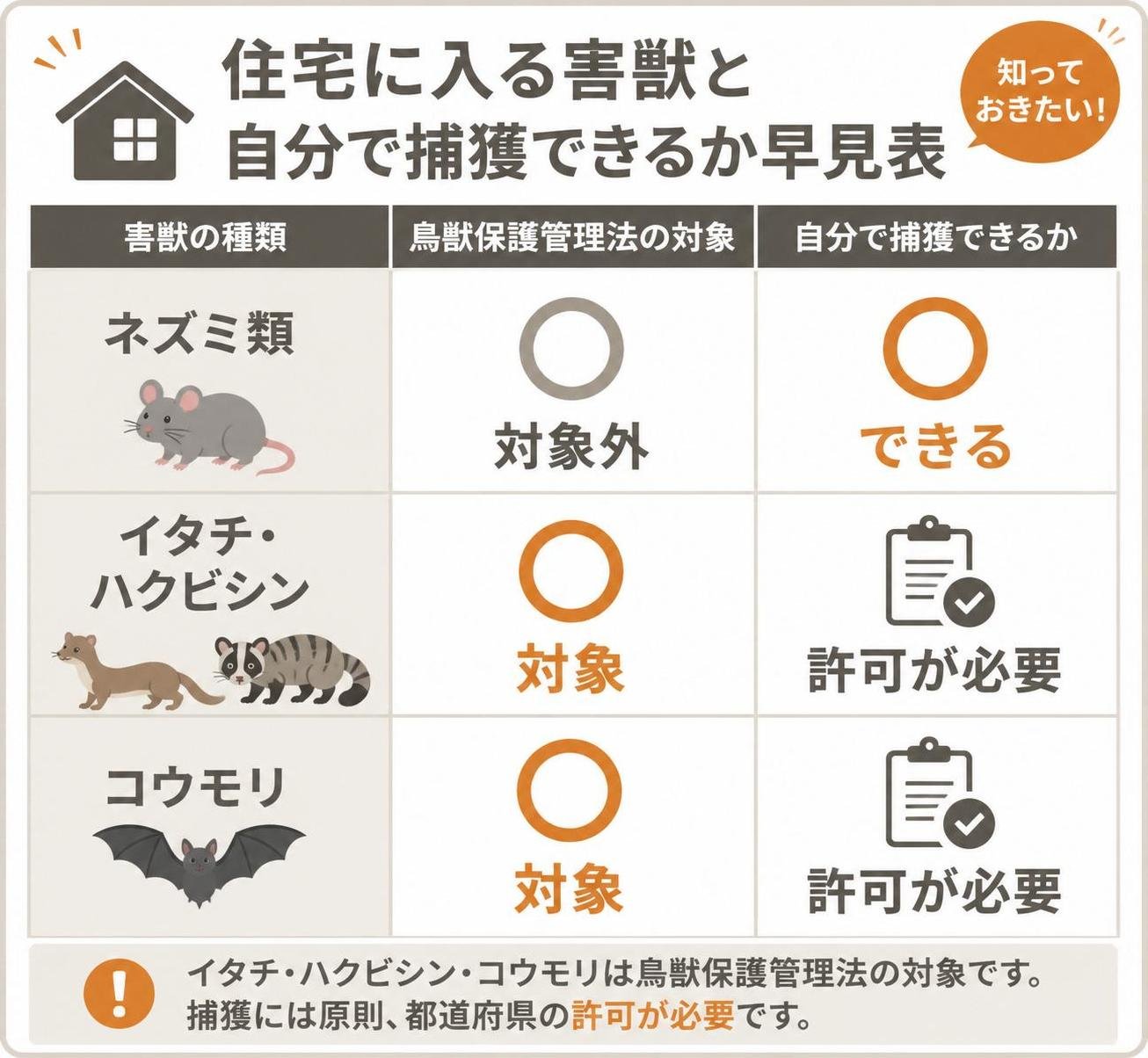 【比較表作成】住宅に入る害獣と、自分で捕獲できるかの早見表。ネズミ類: 鳥獣保護管理法の対象=対象外, 自分で捕獲=できる / イタチ・ハクビシン: 鳥獣保護管理法の対象=対象, 自分で捕獲=許可が必要 / コウモリ: 鳥獣保護管理法の対象=対象, 自分で捕獲=許可が必要