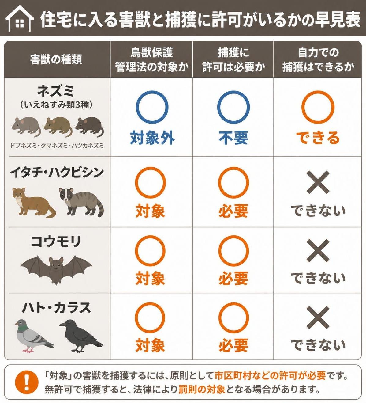 【比較表作成】住宅に入る害獣と捕獲に許可がいるかの早見表。ネズミ(いえねずみ類3種): 鳥獣保護管理法=対象外, 捕獲の許可=不要, 自力での捕獲=できる / イタチ・ハクビシン: 鳥獣保護管理法=対象, 捕獲の許可=必要, 自力での捕獲=できない / コウモリ: 鳥獣保護管理法=対象, 捕獲の許可=必要, 自力での捕獲=できない / ハト・カラス: 鳥獣保護管理法=対象, 捕獲の許可=必要, 自力での捕獲=できない