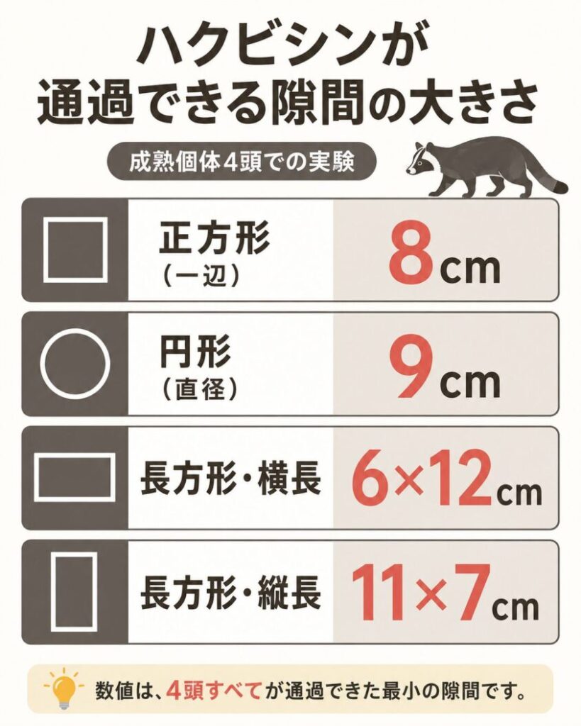 【横棒比較作成】ハクビシンが通過できる隙間の大きさ(成熟個体4頭での実験)。正方形(一辺):8cm / 円形(直径):9cm / 長方形・横長:6×12cm / 長方形・縦長:11×7cm