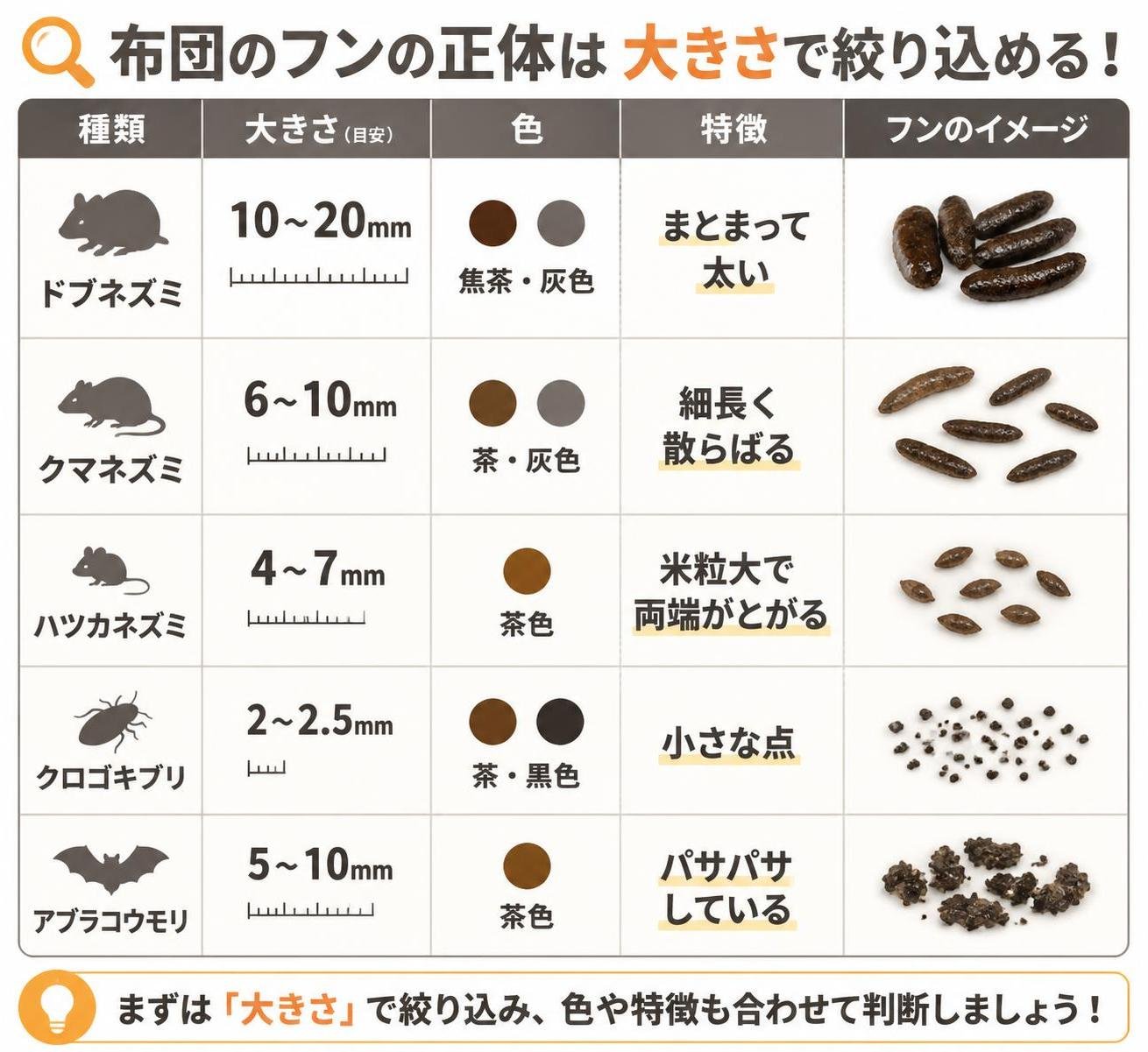 【比較表作成】布団のフンの正体は大きさで絞り込める。ドブネズミ: 大きさ=10〜20mm, 色=焦茶・灰色, 特徴=まとまって太い / クマネズミ: 大きさ=6〜10mm, 色=茶・灰色, 特徴=細長く散らばる / ハツカネズミ: 大きさ=4〜7mm, 色=茶色, 特徴=米粒大で両端がとがる / クロゴキブリ: 大きさ=2〜2.5mm, 色=茶・黒色, 特徴=小さな点 / アブラコウモリ: 大きさ=5〜10mm, 色=茶色, 特徴=パサパサしている