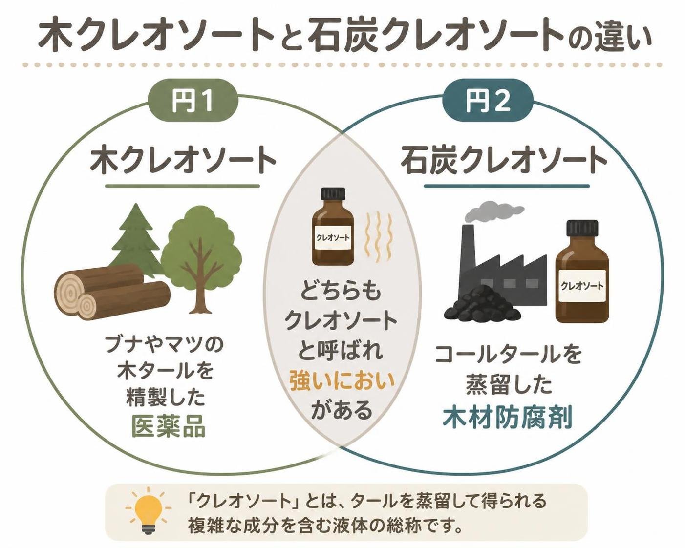 【ベン図作成】木クレオソートと石炭クレオソートの違い。円1:木クレオソート ブナやマツの木タールを精製した医薬品 / 円2:石炭クレオソート コールタールを蒸留した木材防腐剤 / 重なり:どちらもクレオソートと呼ばれ強いにおいがある