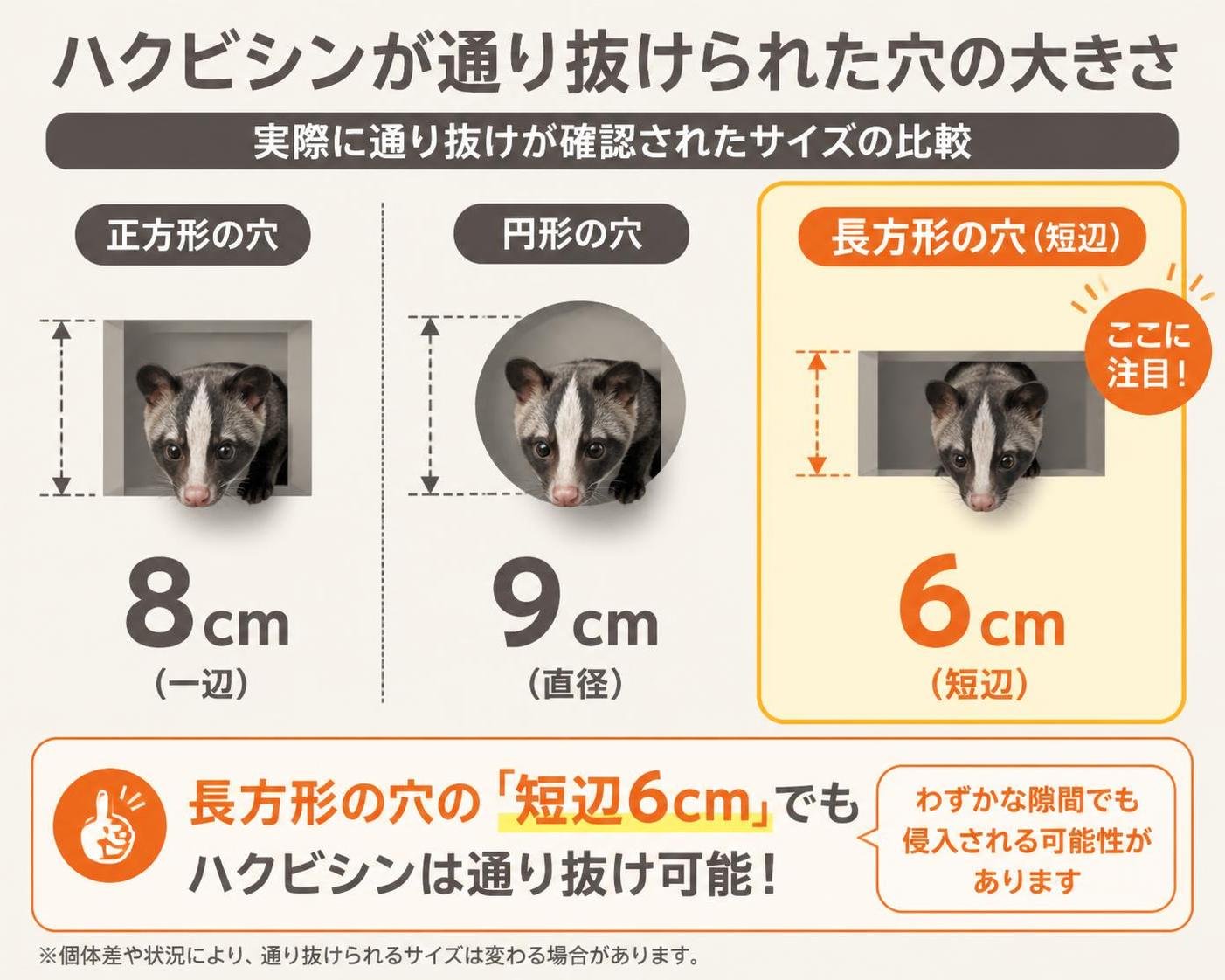 【横棒比較作成】ハクビシンが通り抜けられた穴の大きさ。正方形の穴(一辺):8cm / 円形の穴(直径):9cm / 長方形の穴(短辺):6cm。長方形の穴(短辺)を強調