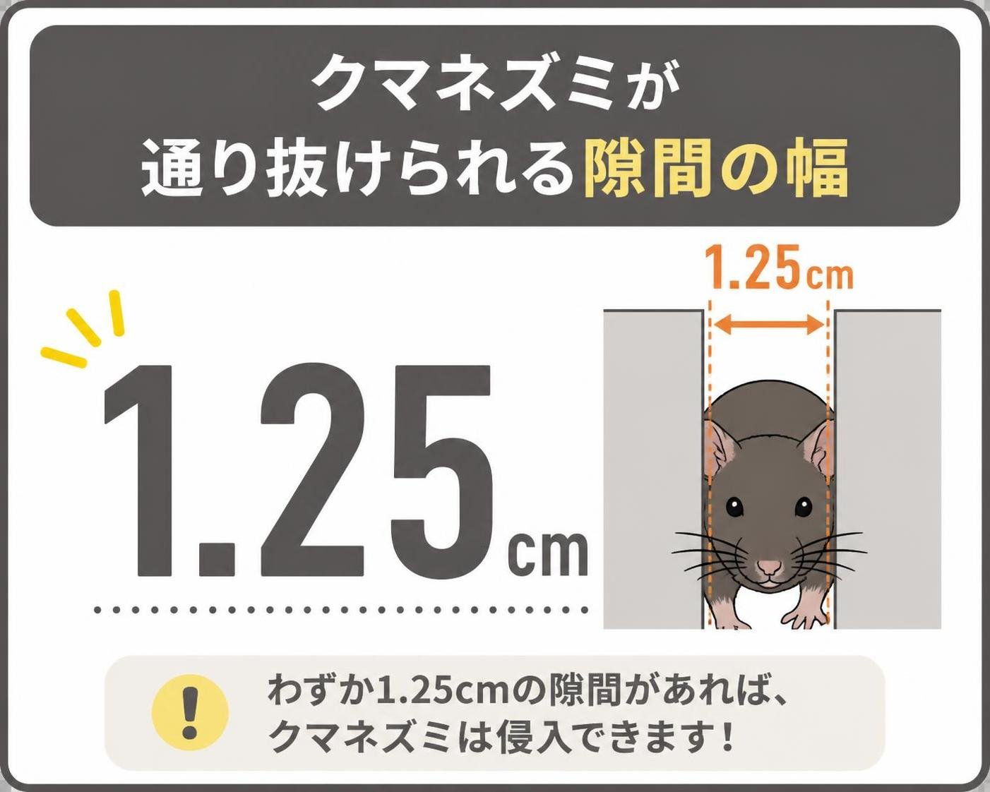 【数字カード作成】クマネズミが通り抜けられる隙間の幅。1.25cm