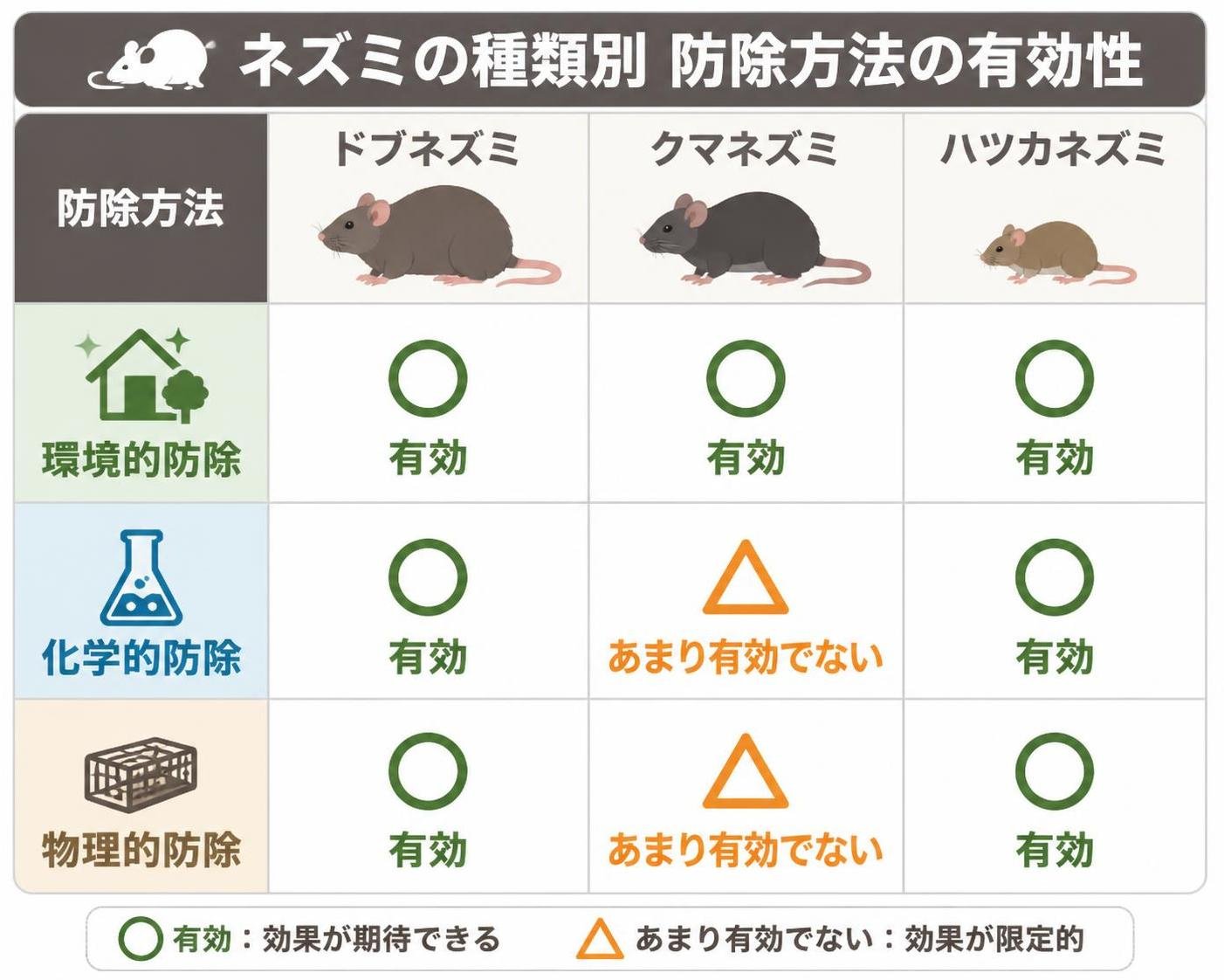 【比較表作成】ネズミの種類別 防除方法の有効性。環境的防除: ドブネズミ=有効, クマネズミ=有効, ハツカネズミ=有効 / 化学的防除: ドブネズミ=有効, クマネズミ=あまり有効でない, ハツカネズミ=有効 / 物理的防除: ドブネズミ=有効, クマネズミ=あまり有効でない, ハツカネズミ=有効