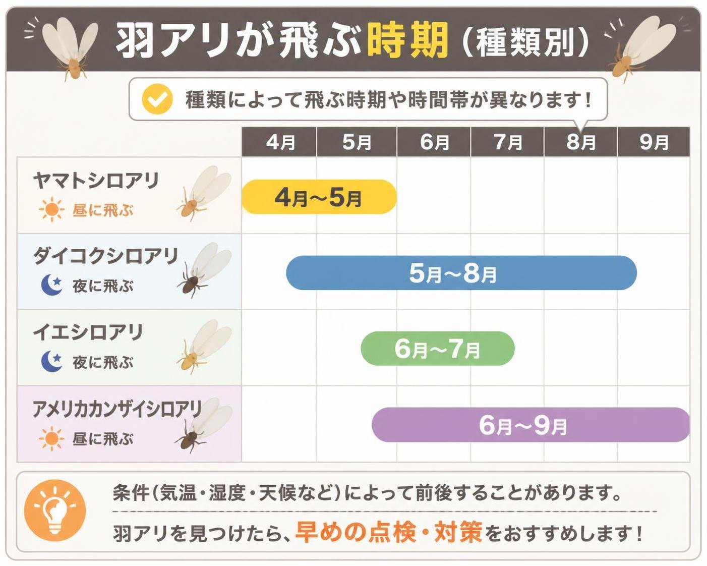 【タイムライン作成】羽アリが飛ぶ時期(種類別)。4〜5月:ヤマトシロアリ(昼) / 5〜8月:ダイコクシロアリ(夜) / 6〜7月:イエシロアリ(夜) / 6〜9月:アメリカカンザイシロアリ(昼)