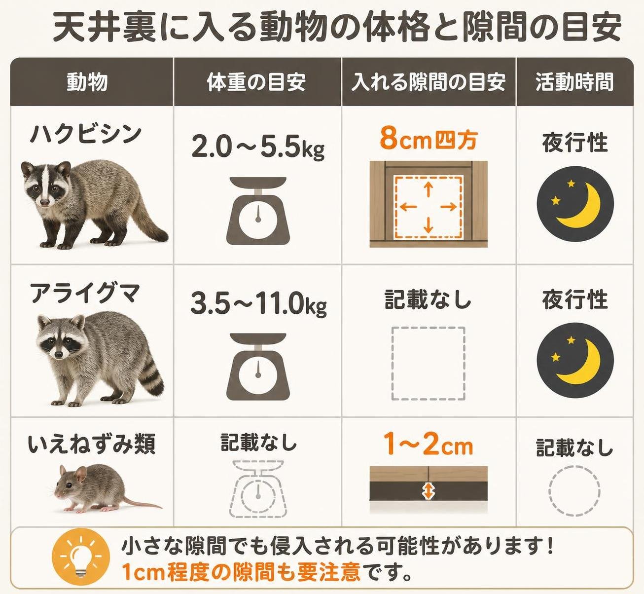 【比較表作成】天井裏に入る動物の体格と隙間の目安。ハクビシン: 体重=2.0〜5.5kg, 入れる隙間=8cm四方, 活動時間=夜行性 / アライグマ: 体重=3.5〜11.0kg, 入れる隙間=記載なし, 活動時間=夜行性 / いえねずみ類: 体重=記載なし, 入れる隙間=1〜2cm, 活動時間=記載なし