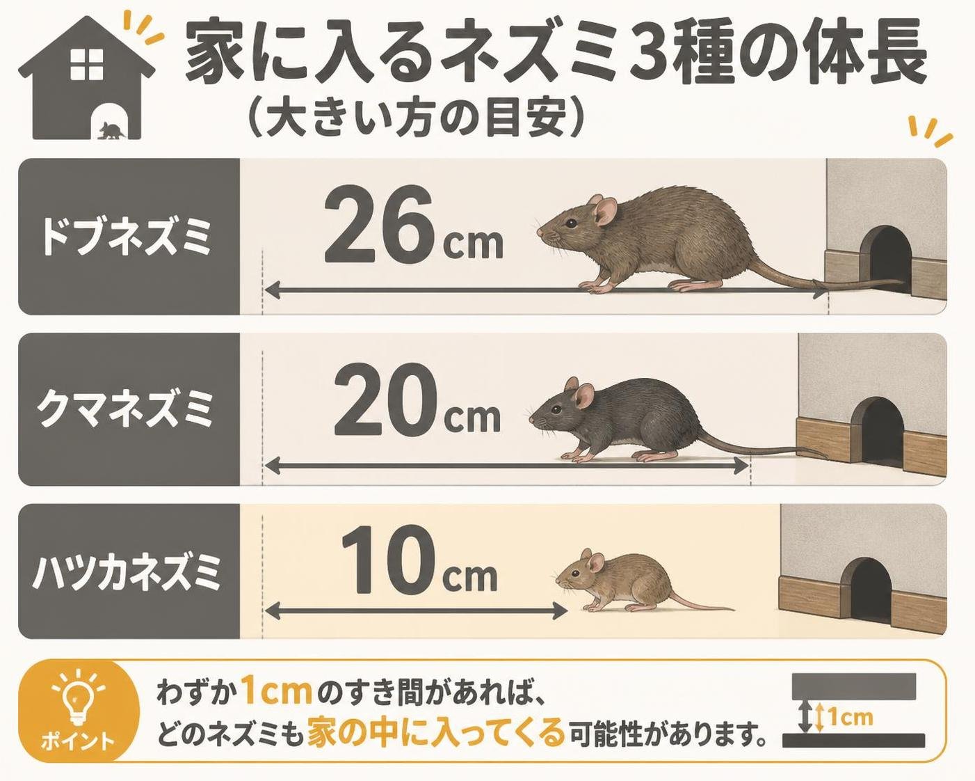【横棒比較作成】家に入るネズミ3種の体長(大きい方の目安)。ドブネズミ:26cm / クマネズミ:20cm / ハツカネズミ:10cm