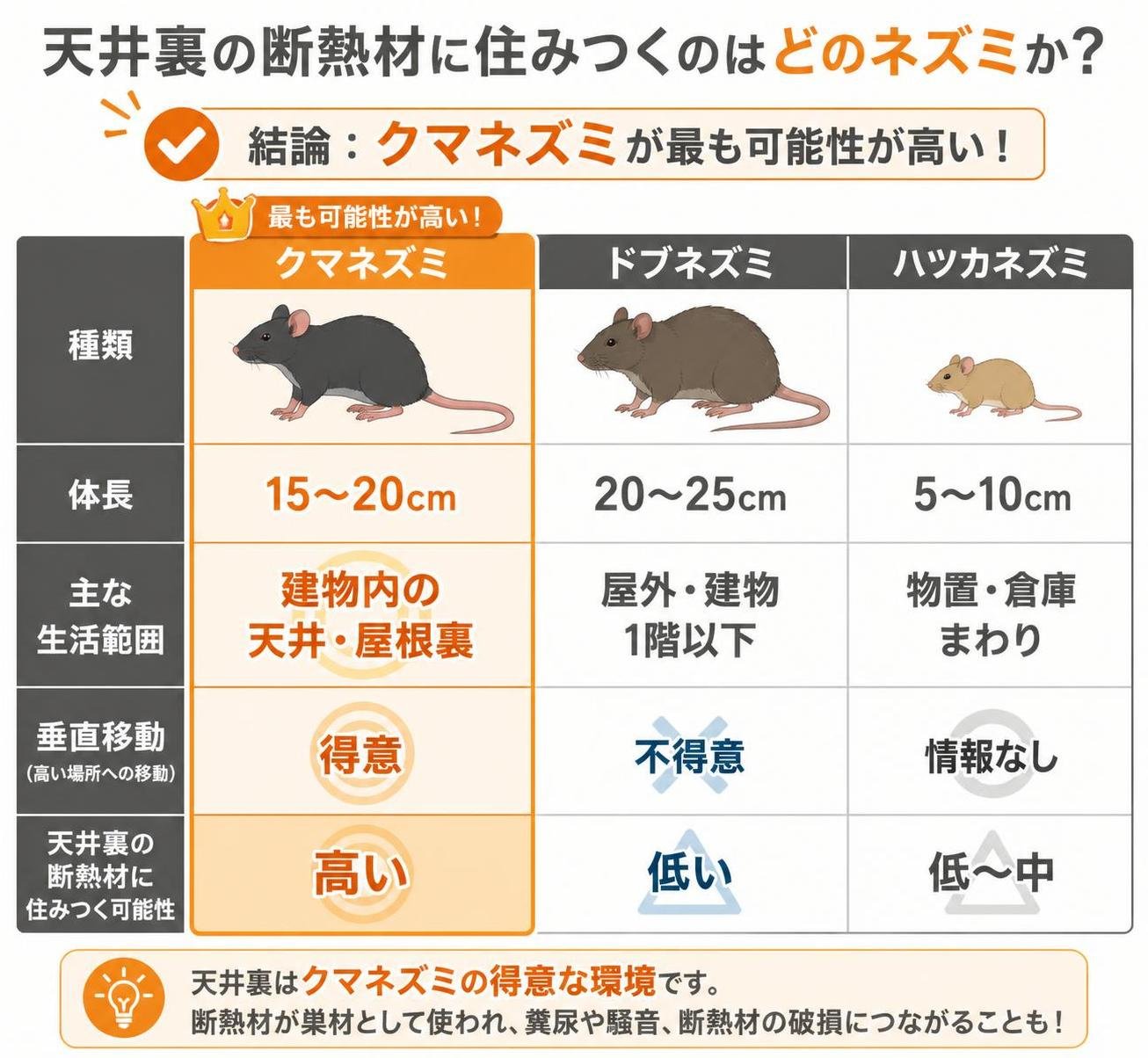 【比較表作成】天井裏の断熱材に住みつくのはどのネズミか。クマネズミ: 体長=15〜20cm, 主な生活範囲=建物内の天井・屋根裏, 垂直移動=得意 / ドブネズミ: 体長=20〜25cm, 主な生活範囲=屋外・建物1階以下, 垂直移動=不得意 / ハツカネズミ: 体長=5〜10cm, 主な生活範囲=物置・倉庫まわり, 垂直移動=情報なし。クマネズミを強調