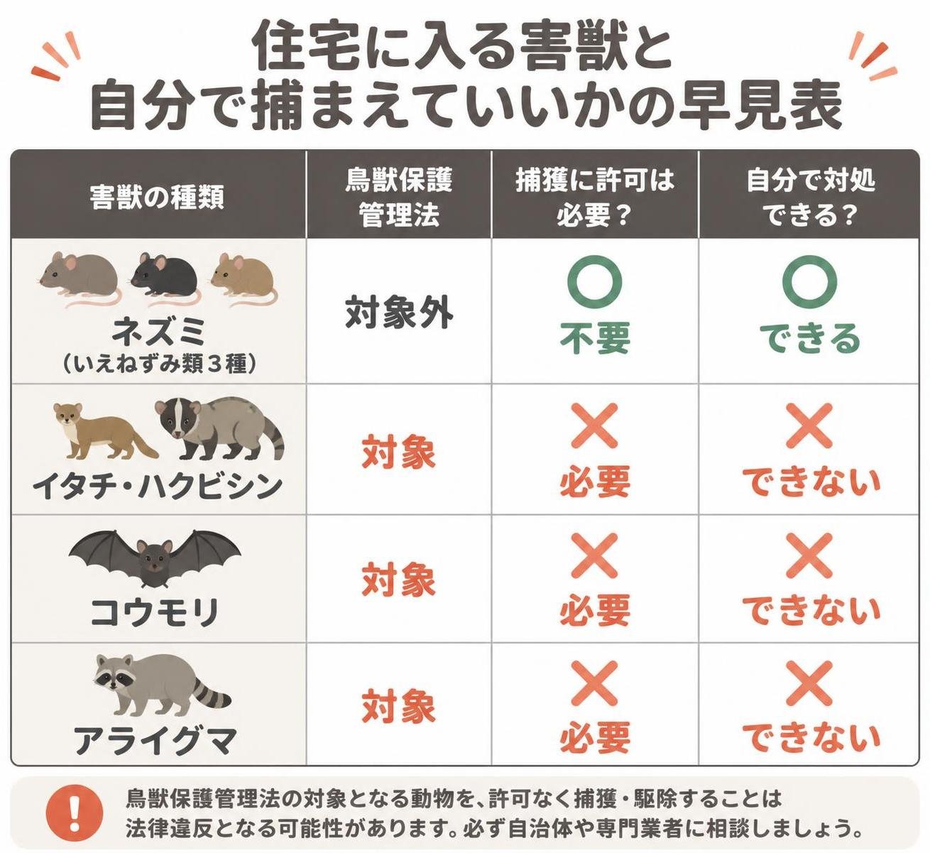 【比較表作成】住宅に入る害獣と自分で捕まえていいかの早見表。ネズミ(いえねずみ類3種): 鳥獣保護管理法=対象外, 捕獲に許可=不要, 自分で対処=できる / イタチ・ハクビシン: 鳥獣保護管理法=対象, 捕獲に許可=必要, 自分で対処=できない / コウモリ: 鳥獣保護管理法=対象, 捕獲に許可=必要, 自分で対処=できない / アライグマ: 鳥獣保護管理法=対象, 捕獲に許可=必要, 自分で対処=できない