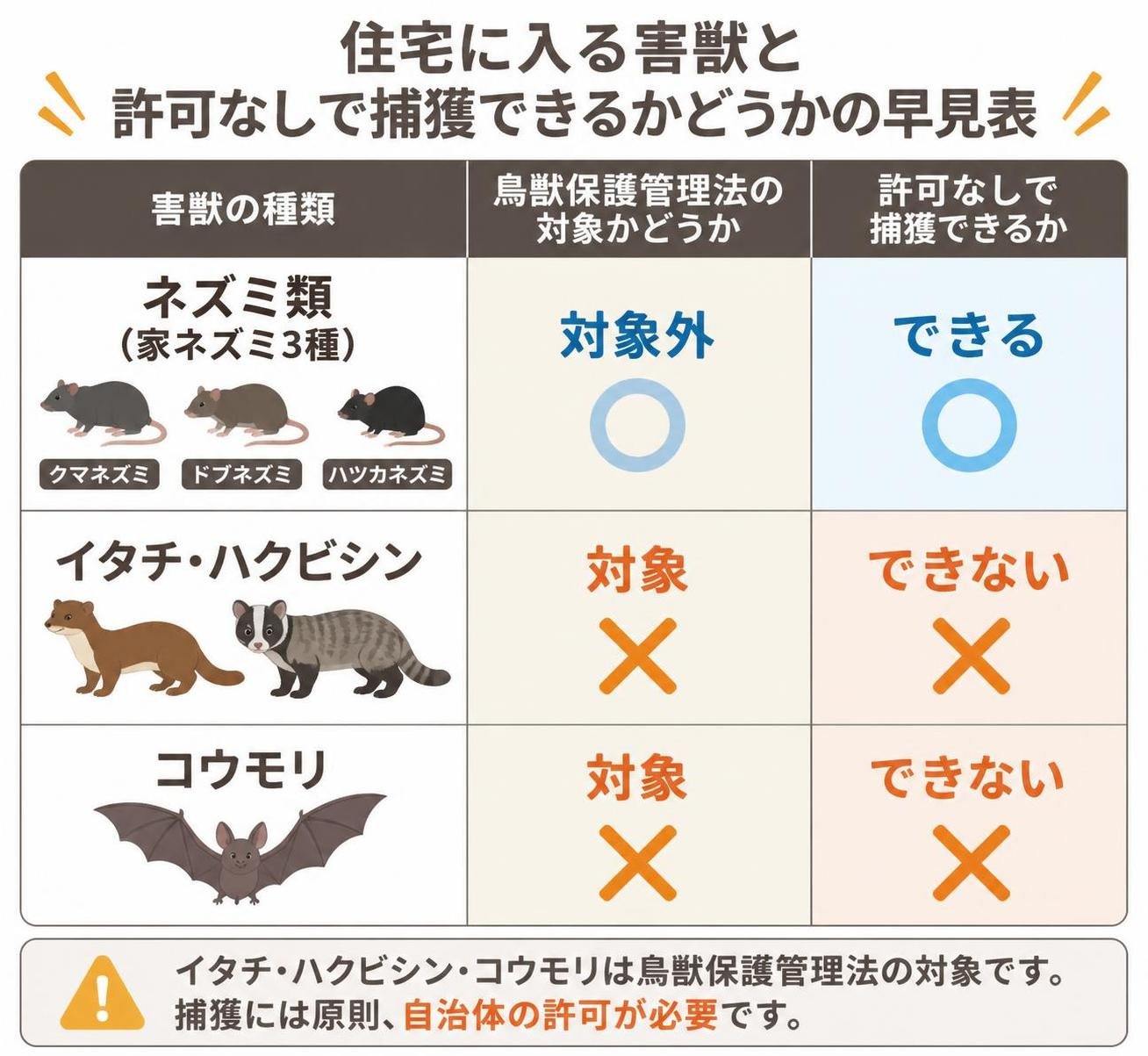 【比較表作成】住宅に入る害獣と、許可なしで捕獲できるかどうかの早見表。ネズミ類(家ネズミ3種): 鳥獣保護管理法の対象=対象外, 許可なしの捕獲=できる / イタチ・ハクビシン: 鳥獣保護管理法の対象=対象, 許可なしの捕獲=できない / コウモリ: 鳥獣保護管理法の対象=対象, 許可なしの捕獲=できない