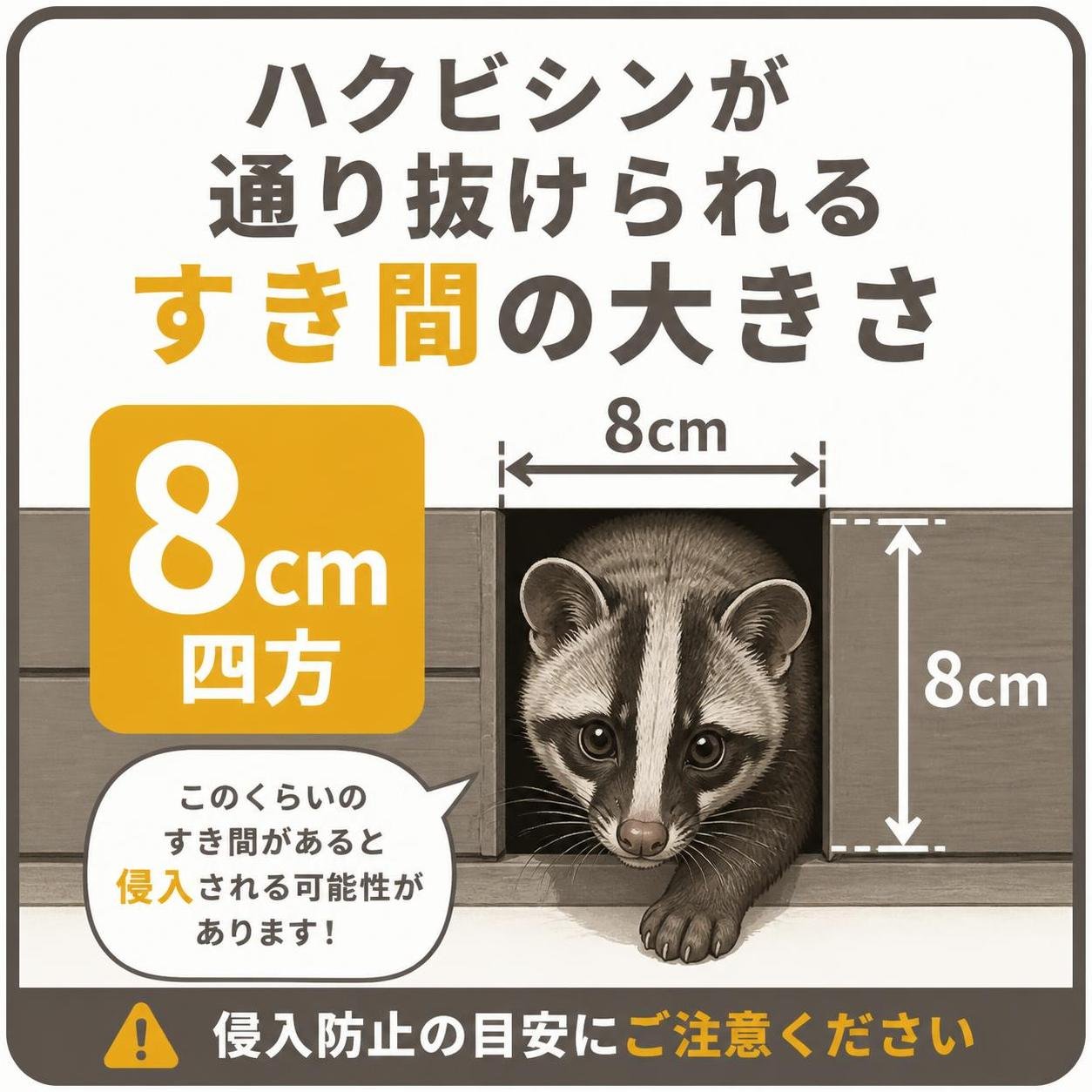 【数字カード作成】ハクビシンが通り抜けられるすき間の大きさ。8cm四方