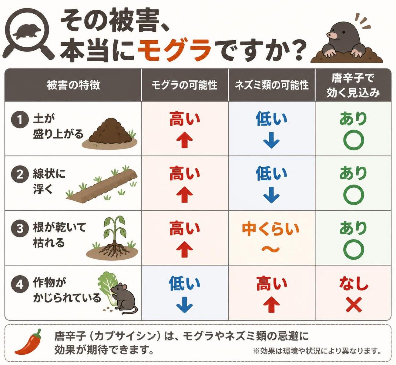 【比較表作成】その被害、本当にモグラですか?。土が盛り上がる: モグラ=高い, ネズミ類=低い, 唐辛子で効く見込み=あり / 線状に浮く: モグラ=高い, ネズミ類=低い, 唐辛子で効く見込み=あり / 根が乾いて枯れる: モグラ=高い, ネズミ類=中くらい, 唐辛子で効く見込み=あり / 作物がかじられている: モグラ=低い, ネズミ類=高い, 唐辛子で効く見込み=なし