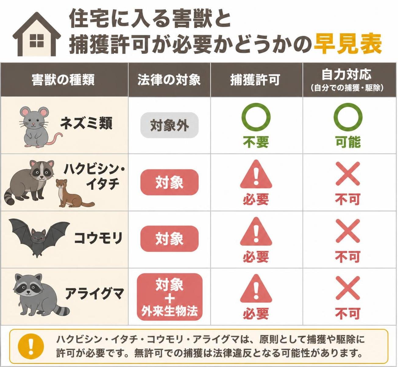 【比較表作成】住宅に入る害獣と、捕獲許可が必要かどうかの早見表。ネズミ類: 法律の対象=対象外, 捕獲許可=不要, 自力対応=可能 / ハクビシン・イタチ: 法律の対象=対象, 捕獲許可=必要, 自力対応=不可 / コウモリ: 法律の対象=対象, 捕獲許可=必要, 自力対応=不可 / アライグマ: 法律の対象=対象+外来生物法, 捕獲許可=必要, 自力対応=不可