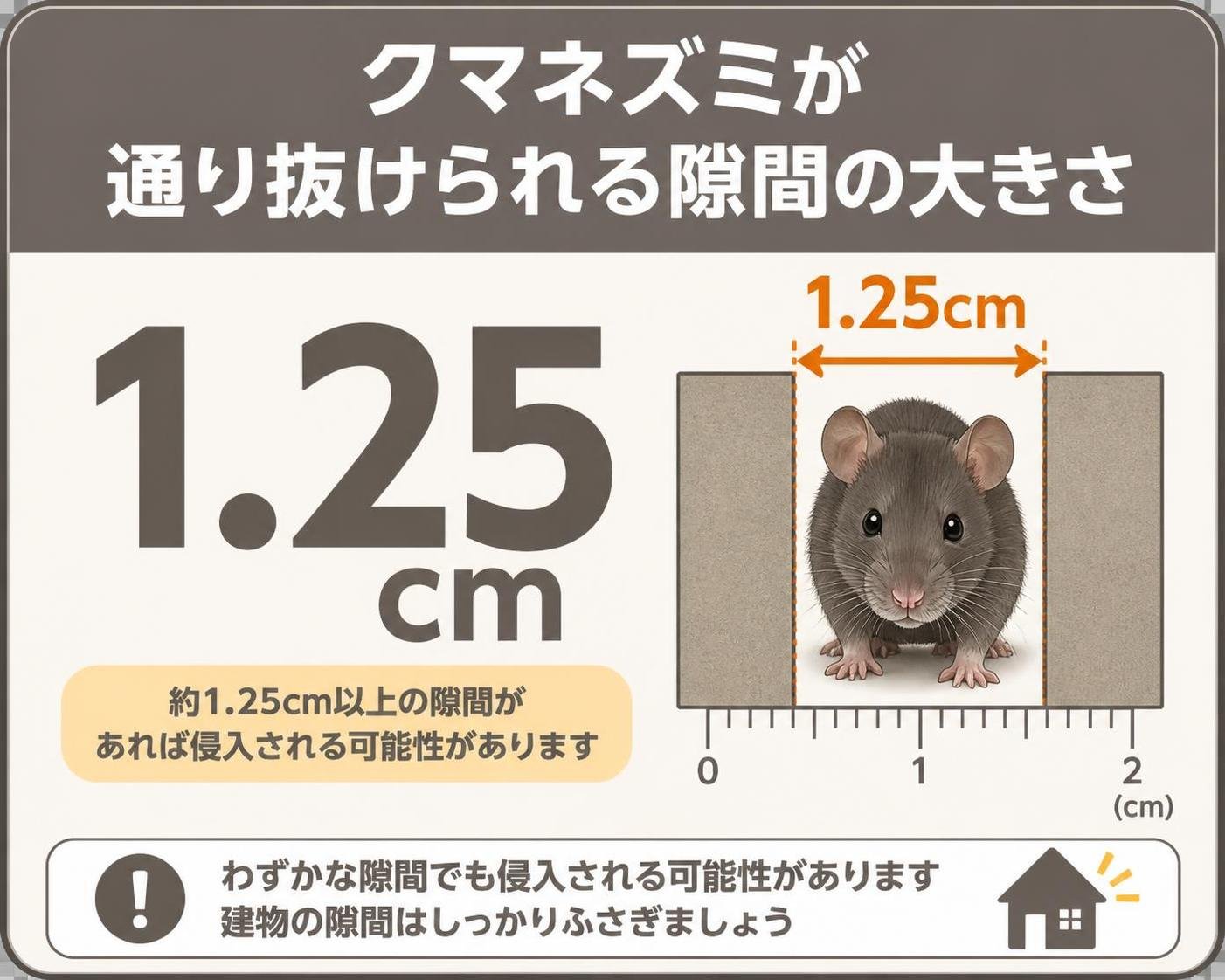 【数字カード作成】クマネズミが通り抜けられる隙間の大きさ。1.25cm