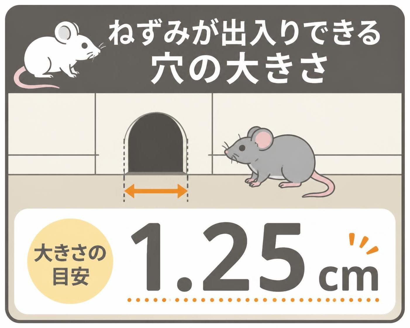 【数字カード作成】ねずみが出入りできる穴の大きさ。1.25cm