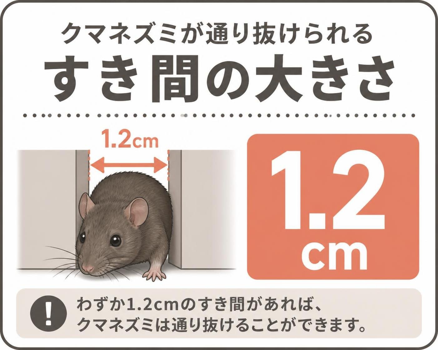 【数字カード作成】クマネズミが通り抜けられるすき間の大きさ。1.2cm