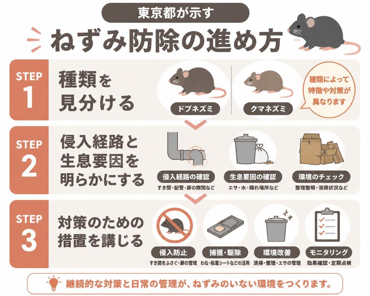 【ステップ作成】東京都が示すねずみ防除の進め方:種類を見分ける→侵入経路と生息要因を明らかにする→対策のための措置を講じる
