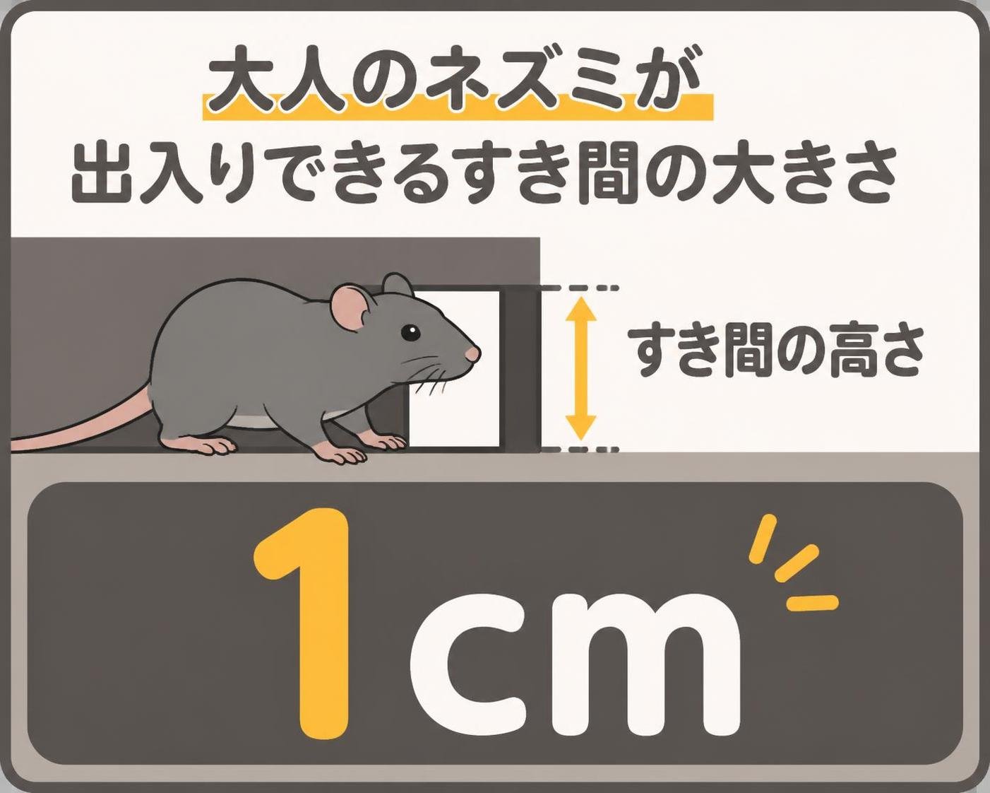 【数字カード作成】大人のネズミが出入りできるすき間の大きさ。1cm