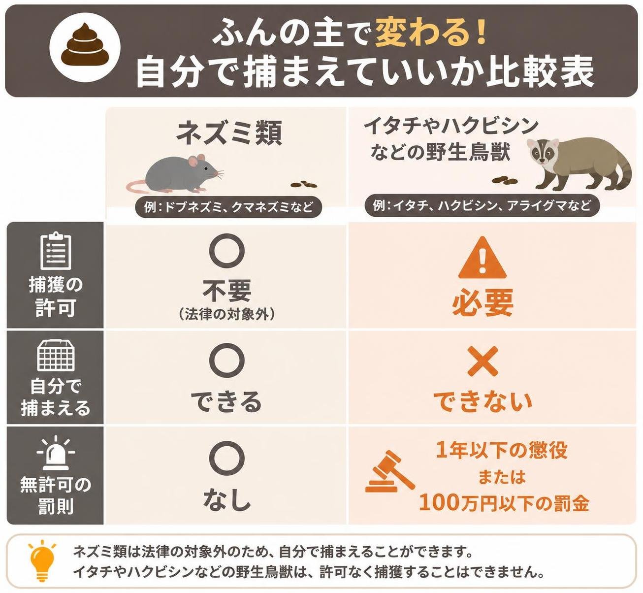 【比較表作成】ふんの主で変わる自分で捕まえていいか。ネズミ類: 捕獲の許可=不要(法律の対象外), 自分で捕まえる=できる, 無許可の罰則=なし / イタチやハクビシンなどの野生鳥獣: 捕獲の許可=必要, 自分で捕まえる=できない, 無許可の罰則=1年以下の懲役または100万円以下の罰金