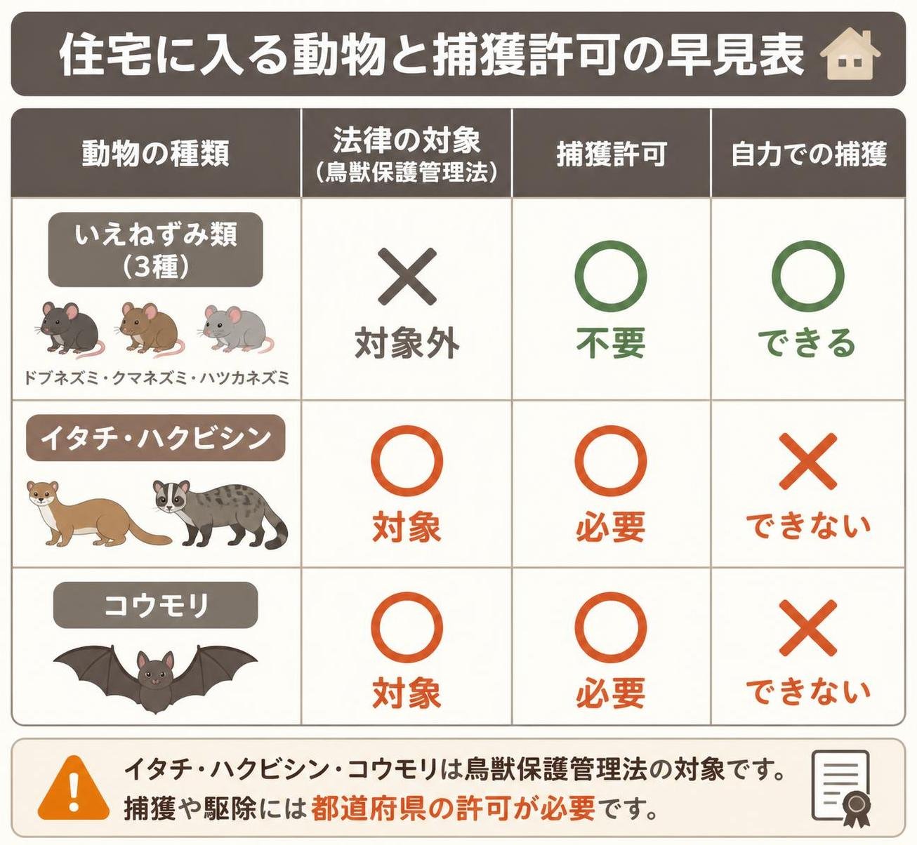 【比較表作成】住宅に入る動物と捕獲許可の早見表。いえねずみ類3種: 法律の対象=対象外, 捕獲許可=不要, 自力での捕獲=できる / イタチ・ハクビシン: 法律の対象=対象, 捕獲許可=必要, 自力での捕獲=できない / コウモリ: 法律の対象=対象, 捕獲許可=必要, 自力での捕獲=できない