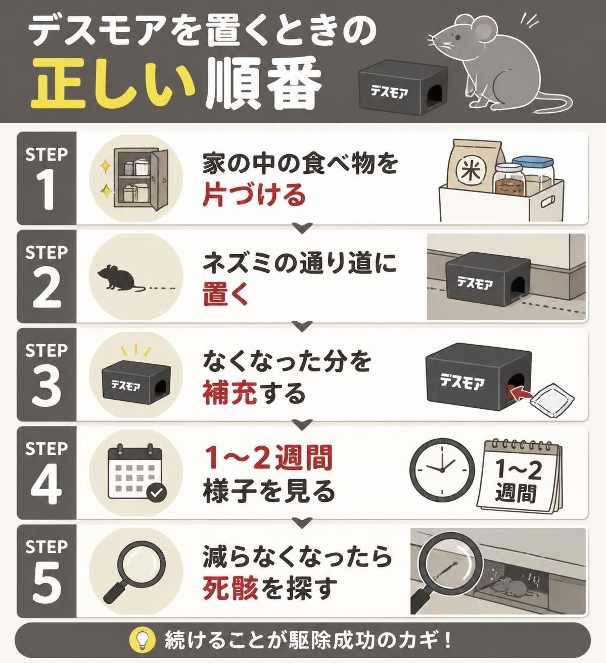 【ステップ作成】デスモアを置くときの正しい順番:家の中の食べ物を片づける→ネズミの通り道に置く→なくなった分を補充する→1〜2週間様子を見る→減らなくなったら死骸を探す