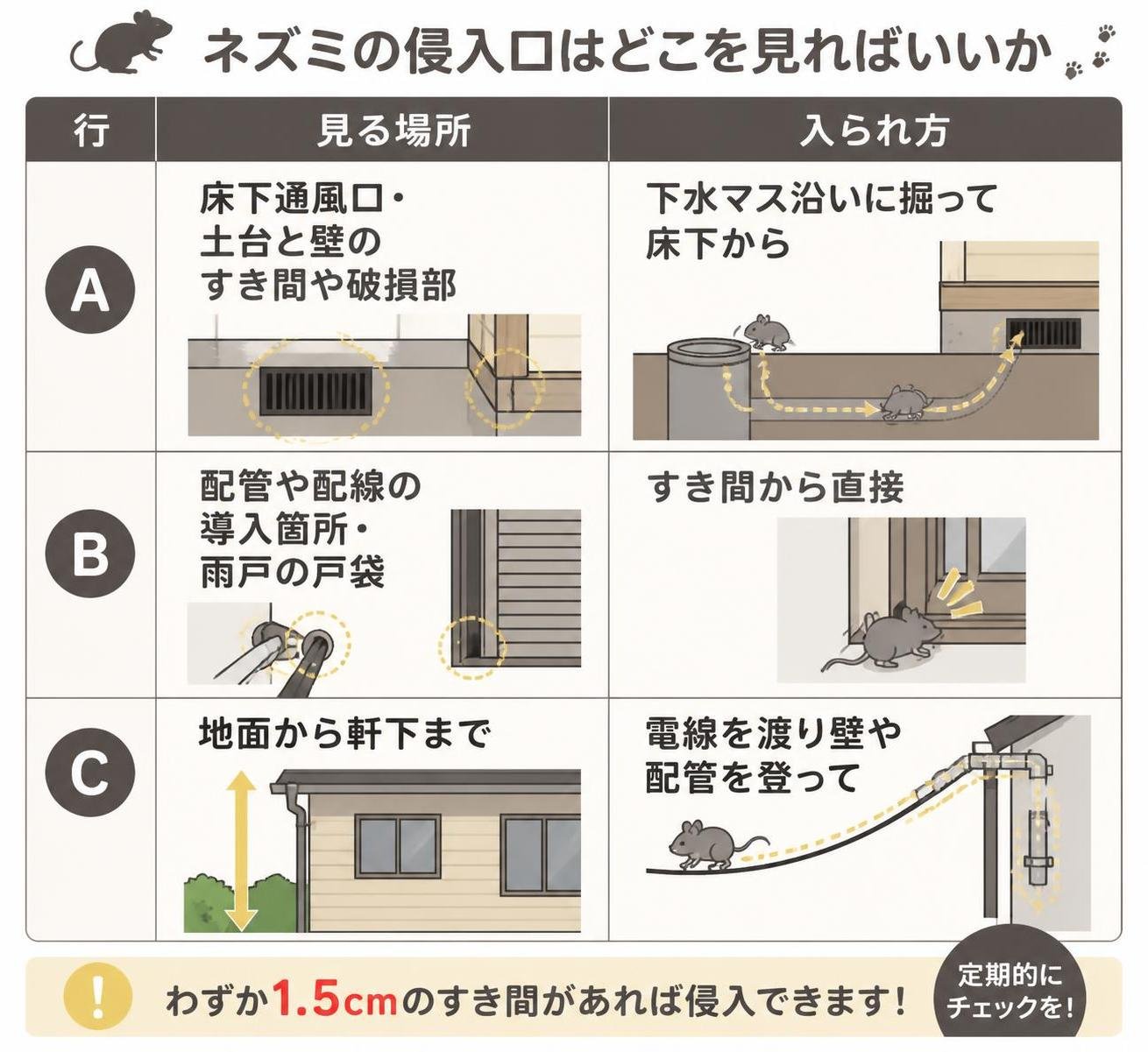 【比較表作成】ネズミの侵入口はどこを見ればいいか。行A: 見る場所=床下通風口・土台と壁のすき間や破損部, 入られ方=下水マス沿いに掘って床下から / 行B: 見る場所=配管や配線の導入箇所・雨戸の戸袋, 入られ方=すき間から直接 / 行C: 見る場所=地面から軒下まで, 入られ方=電線を渡り壁や配管を登って