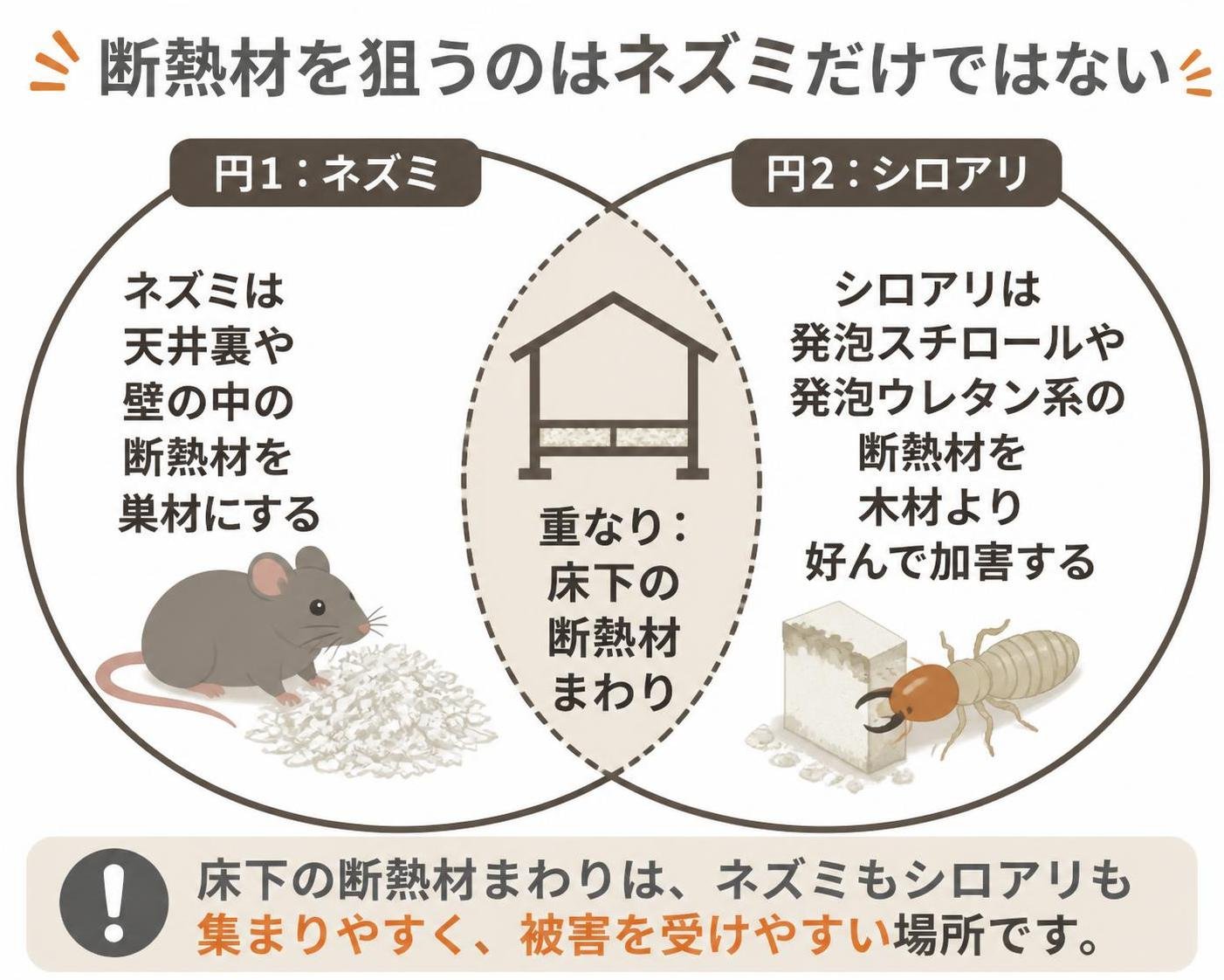【ベン図作成】断熱材を狙うのはネズミだけではない。円1:ネズミは天井裏や壁の中の断熱材を巣材にする / 円2:シロアリは発泡スチロールや発泡ウレタン系の断熱材を木材より好んで加害する / 重なり:床下の断熱材まわり