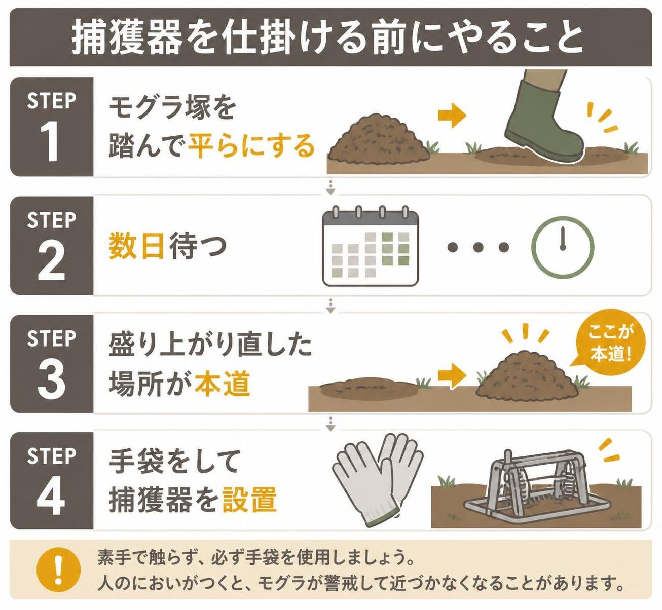 【ステップ作成】捕獲器を仕掛ける前にやること:モグラ塚を踏んで平らにする→数日待つ→盛り上がり直した場所が本道→手袋をして捕獲器を設置