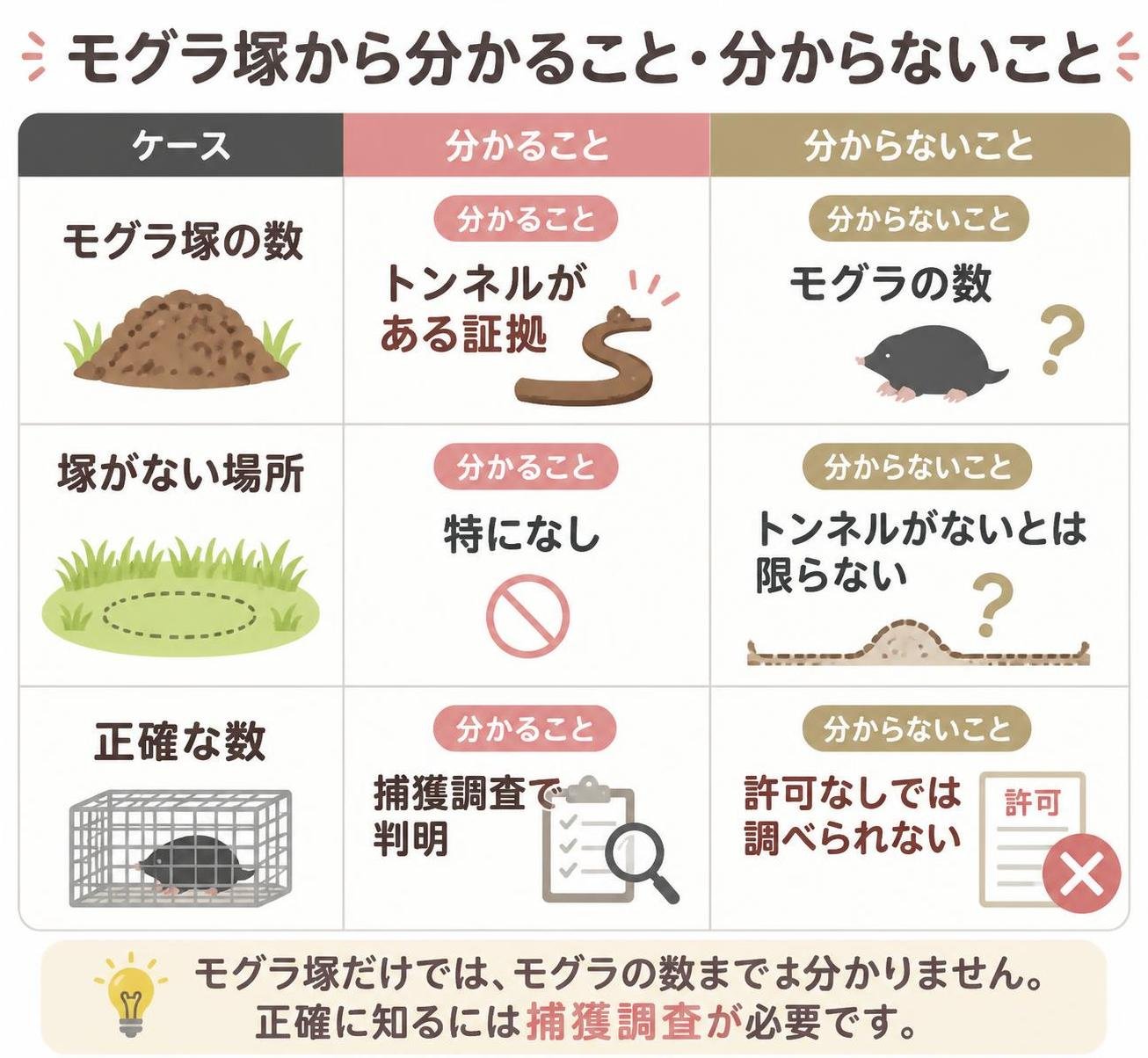 【比較表作成】モグラ塚から分かること・分からないこと。モグラ塚の数: 分かること=トンネルがある証拠, 分からないこと=モグラの数 / 塚がない場所: 分かること=特になし, 分からないこと=トンネルがないとは限らない / 正確な数: 分かること=捕獲調査で判明, 分からないこと=許可なしでは調べられない
