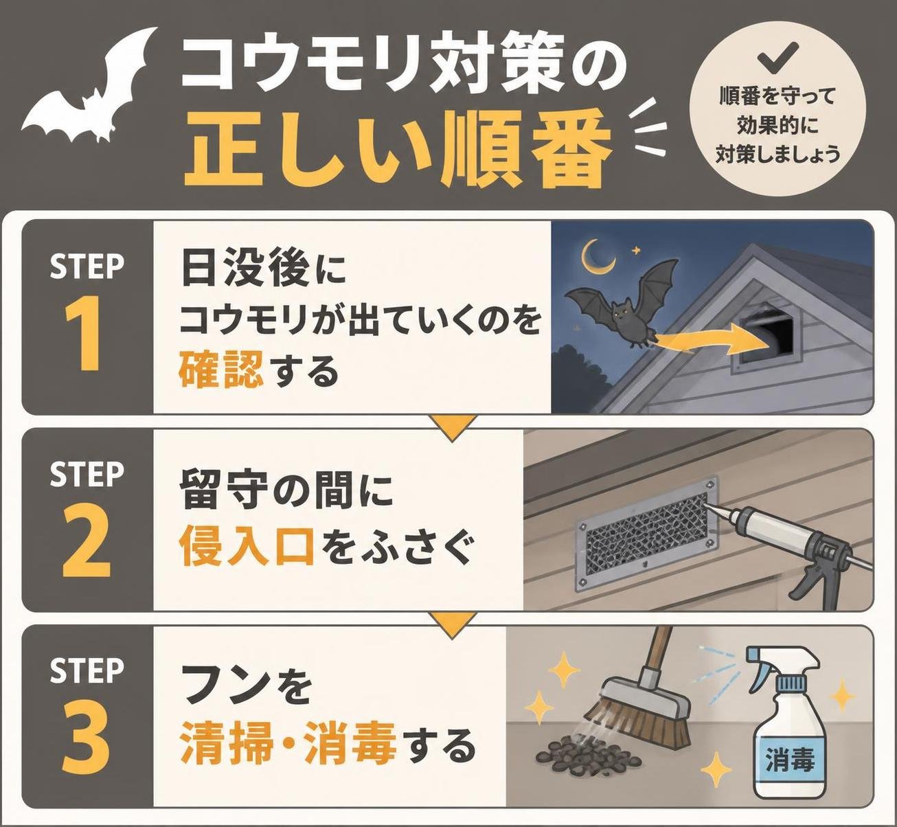 【ステップ作成】コウモリ対策の正しい順番:日没後にコウモリが出ていくのを確認→留守の間に侵入口をふさぐ→フンを清掃・消毒する