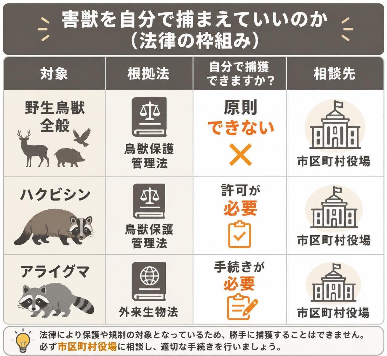 【比較表作成】害獣を自分で捕まえていいのか(法律の枠組み)。野生鳥獣全般: 根拠法=鳥獣保護管理法, 自分で捕獲=原則できない, 相談先=市区町村役場 / ハクビシン: 根拠法=鳥獣保護管理法, 自分で捕獲=許可が必要, 相談先=市区町村役場 / アライグマ: 根拠法=外来生物法, 自分で捕獲=手続きが必要, 相談先=市区町村役場