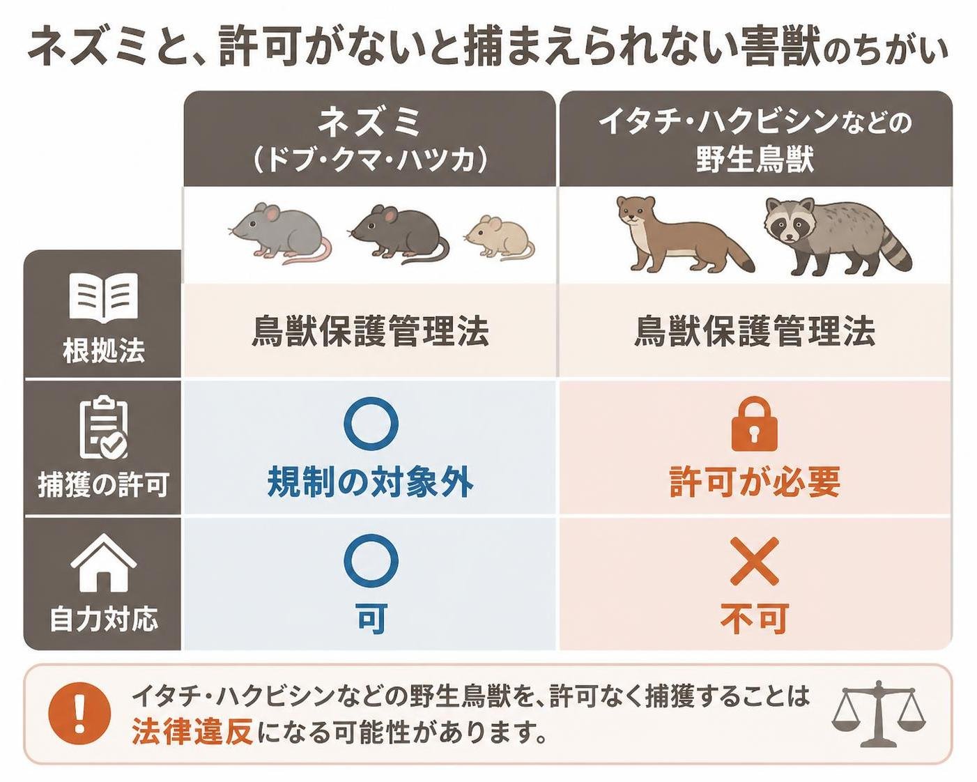 【比較表作成】ネズミと、許可がないと捕まえられない害獣のちがい。ネズミ(ドブ・クマ・ハツカ): 根拠法=鳥獣保護管理法, 捕獲の許可=規制の対象外, 自力対応=可 / イタチ・ハクビシンなどの野生鳥獣: 根拠法=鳥獣保護管理法, 捕獲の許可=許可が必要, 自力対応=不可