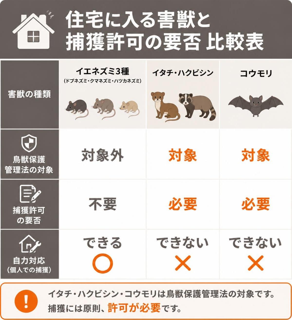 【比較表作成】住宅に入る害獣と捕獲許可の要否。イエネズミ3種: 鳥獣保護管理法=対象外, 捕獲許可=不要, 自力対応=できる / イタチ・ハクビシン: 鳥獣保護管理法=対象, 捕獲許可=必要, 自力対応=できない / コウモリ: 鳥獣保護管理法=対象, 捕獲許可=必要, 自力対応=できない