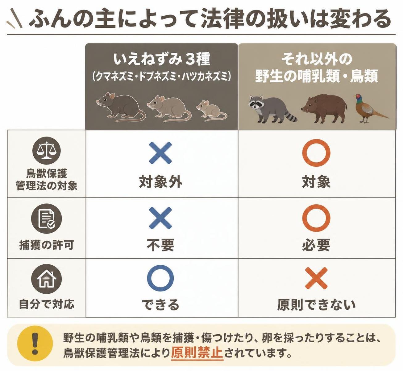 【比較表作成】ふんの主によって法律の扱いは変わる。いえねずみ3種: 鳥獣保護管理法=対象外, 捕獲の許可=不要, 自分で対応=できる / それ以外の野生の哺乳類・鳥類: 鳥獣保護管理法=対象, 捕獲の許可=必要, 自分で対応=原則できない