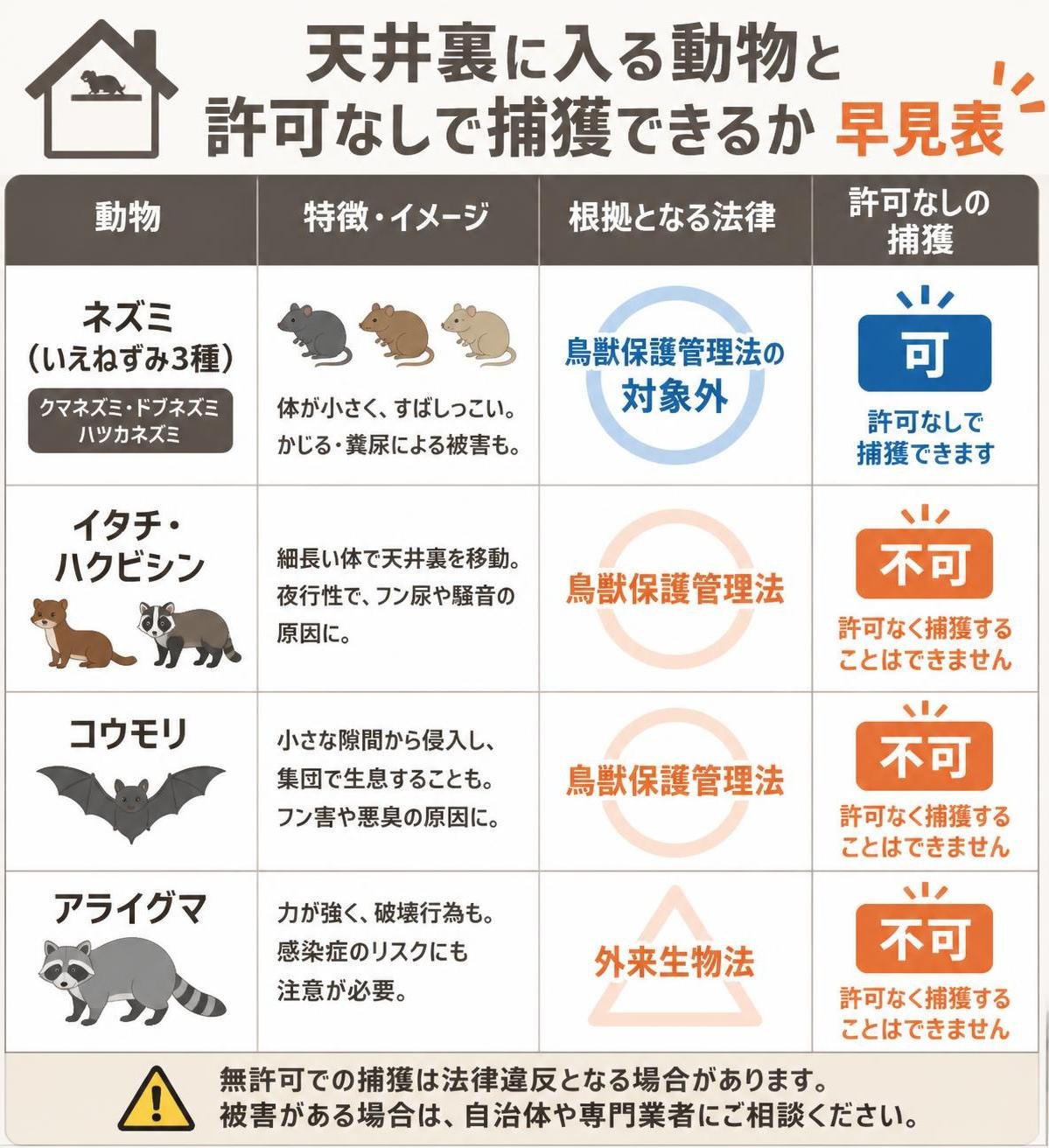 【比較表作成】天井裏に入る動物と、許可なしで捕獲できるかの早見表。ネズミ(いえねずみ3種): 根拠となる法律=鳥獣保護管理法の対象外, 許可なしの捕獲=可 / イタチ・ハクビシン: 根拠となる法律=鳥獣保護管理法, 許可なしの捕獲=不可 / コウモリ: 根拠となる法律=鳥獣保護管理法, 許可なしの捕獲=不可 / アライグマ: 根拠となる法律=外来生物法, 許可なしの捕獲=不可