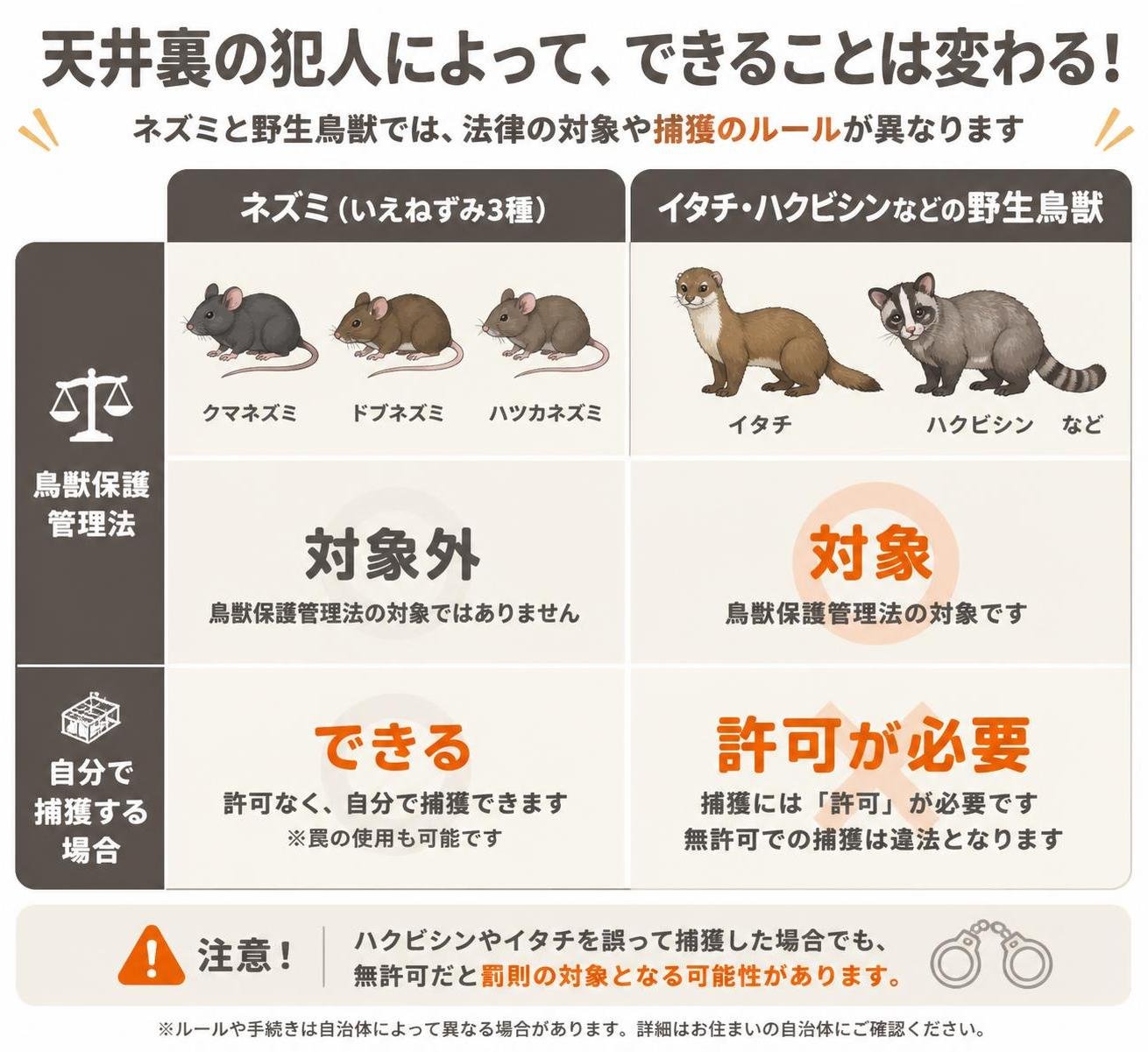 【比較表作成】天井裏の犯人によって、できることは変わる。ネズミ(いえねずみ3種): 鳥獣保護管理法=対象外, 自分で捕獲=できる / イタチ・ハクビシンなどの野生鳥獣: 鳥獣保護管理法=対象, 自分で捕獲=許可が必要
